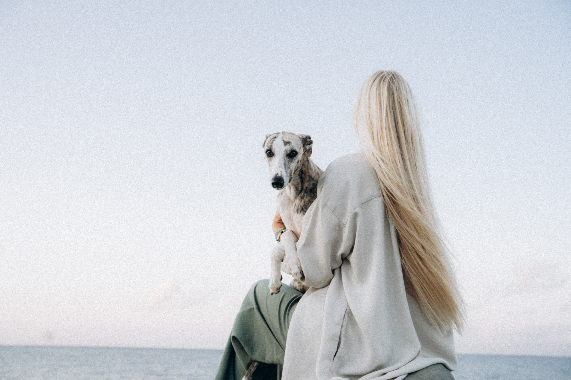 Аня и Джованни. Фотограф анималист в Москве и Санкт-Петербурге Свиридова Анна