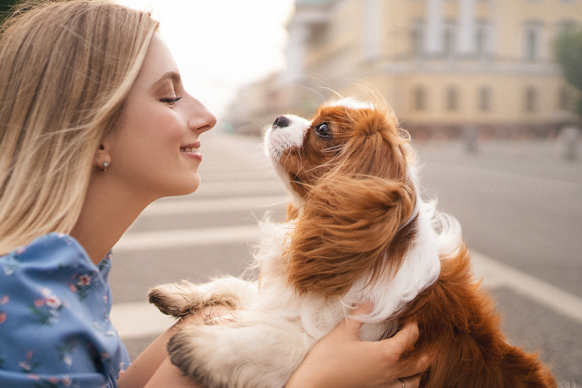 Таня и Лео. Фотограф анималист в Москве и Санкт-Петербурге Свиридова Анна