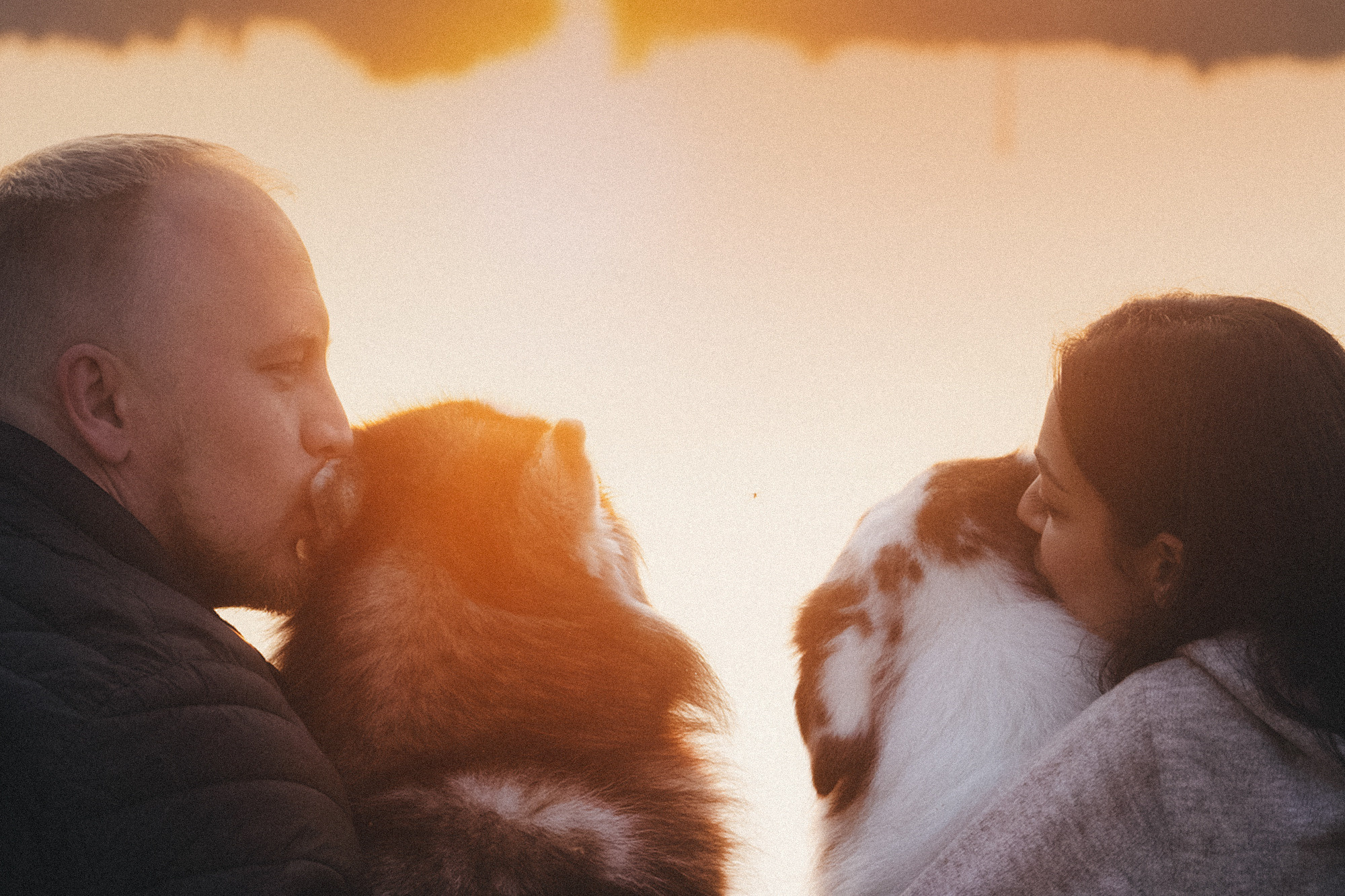 Аня, Игорь, Аусь и Хась. Фотограф анималист в Москве и Санкт-Петербурге Свиридова Анна