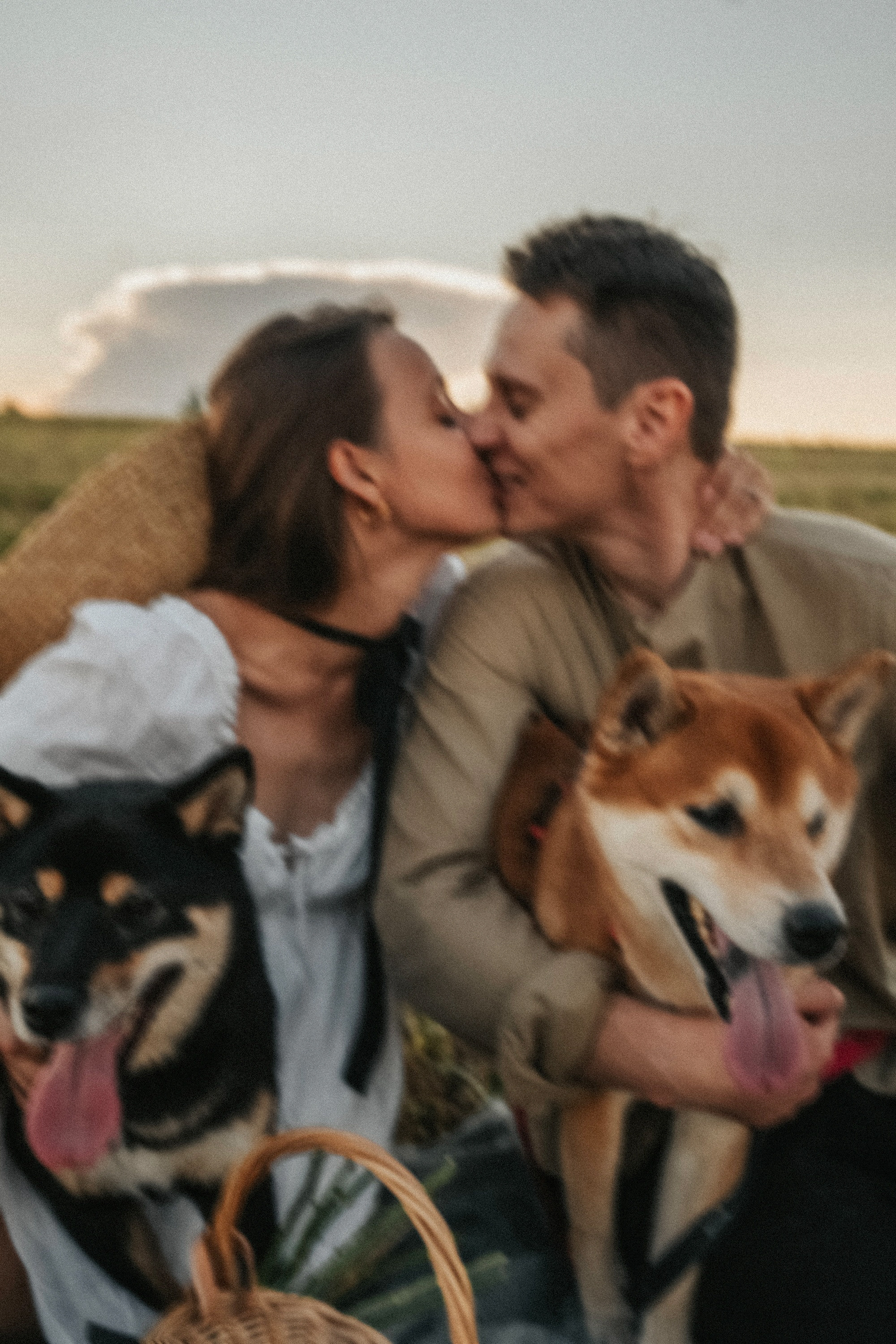 Катя, Вася, Роки и Бэлла. Фотограф анималист в Москве и Санкт-Петербурге Свиридова Анна