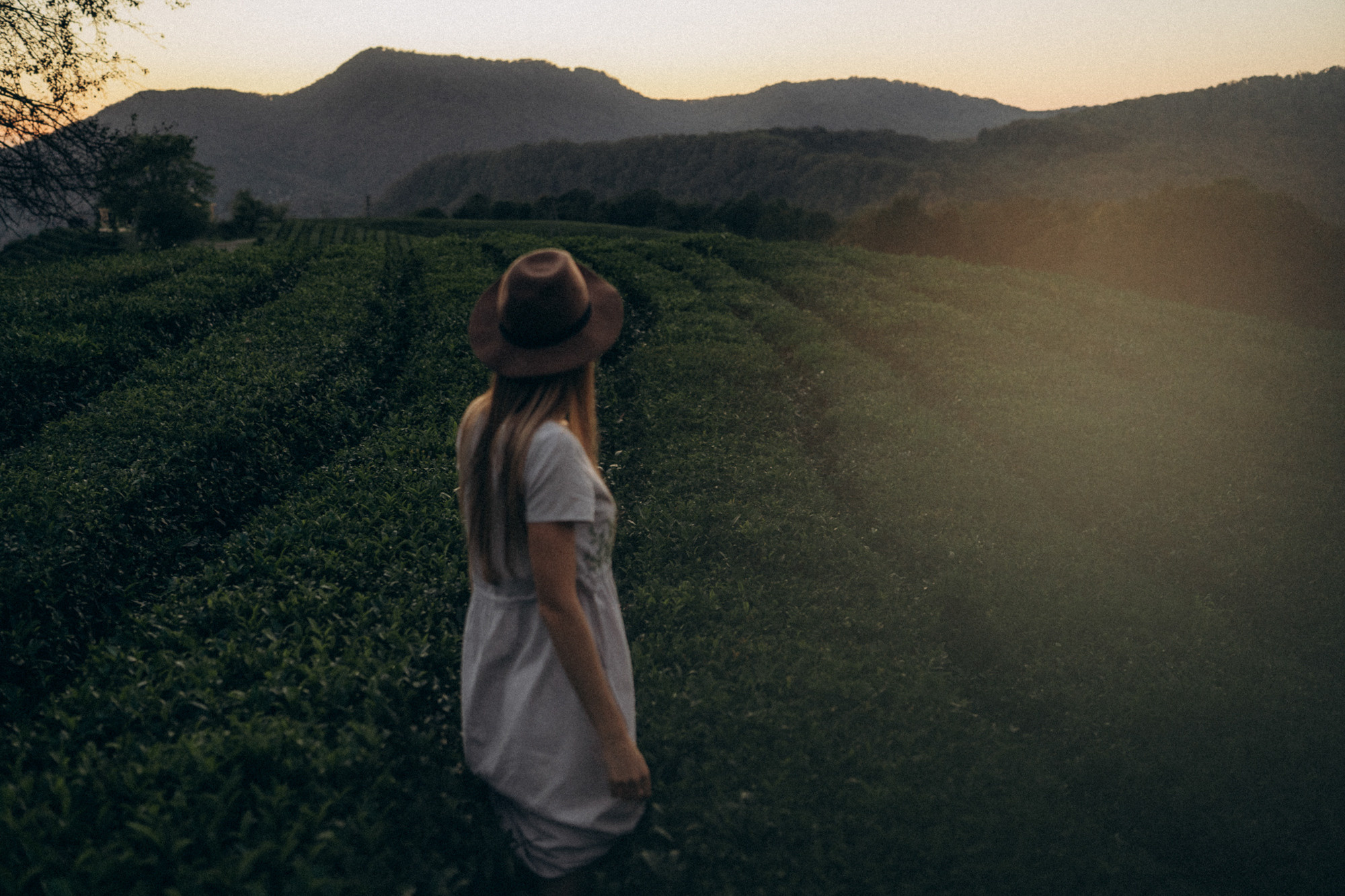 Женя и Мира. Фотограф анималист в Москве и Санкт-Петербурге Свиридова Анна