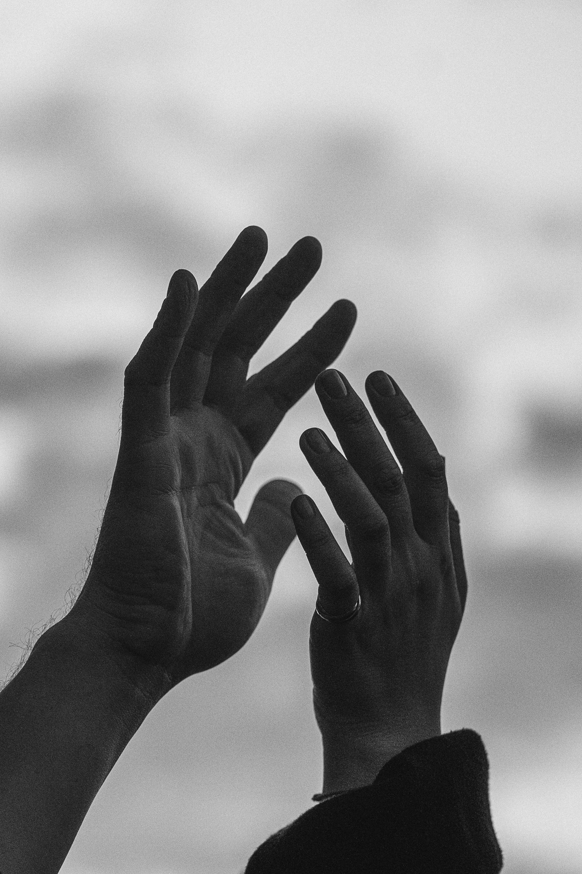 Амина, Андрей и Умка. Фотограф анималист в Москве и Санкт-Петербурге Свиридова Анна