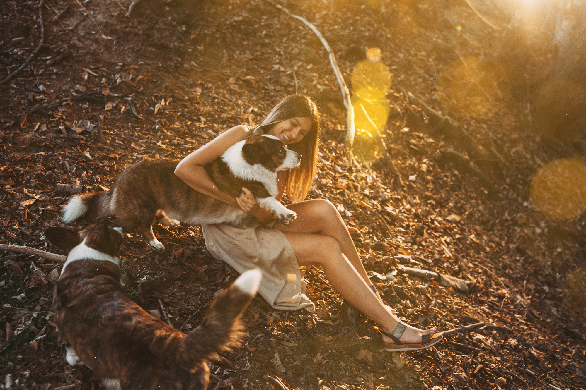 Влада и Коржики. Фотограф анималист в Москве и Санкт-Петербурге Свиридова Анна