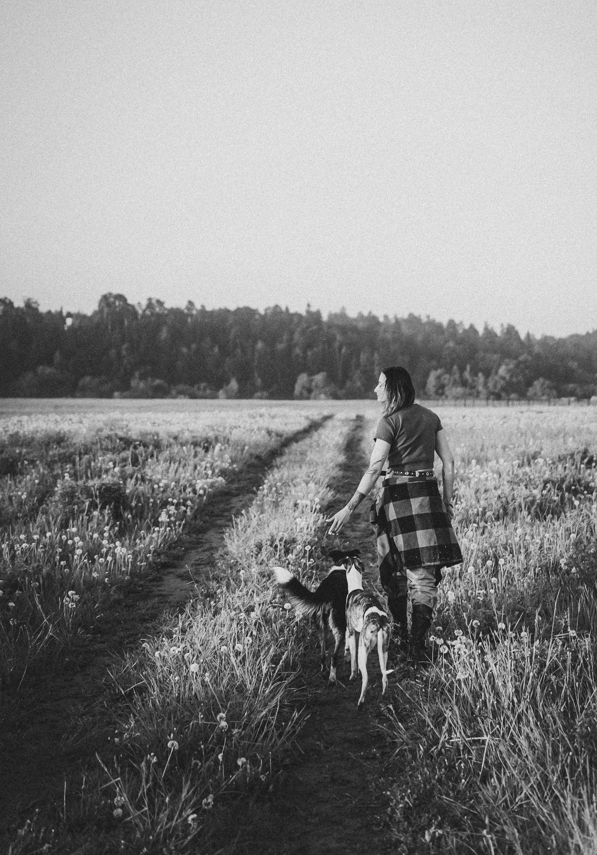 Софа, Уна и Лють. Фотограф анималист в Москве и Санкт-Петербурге Свиридова Анна