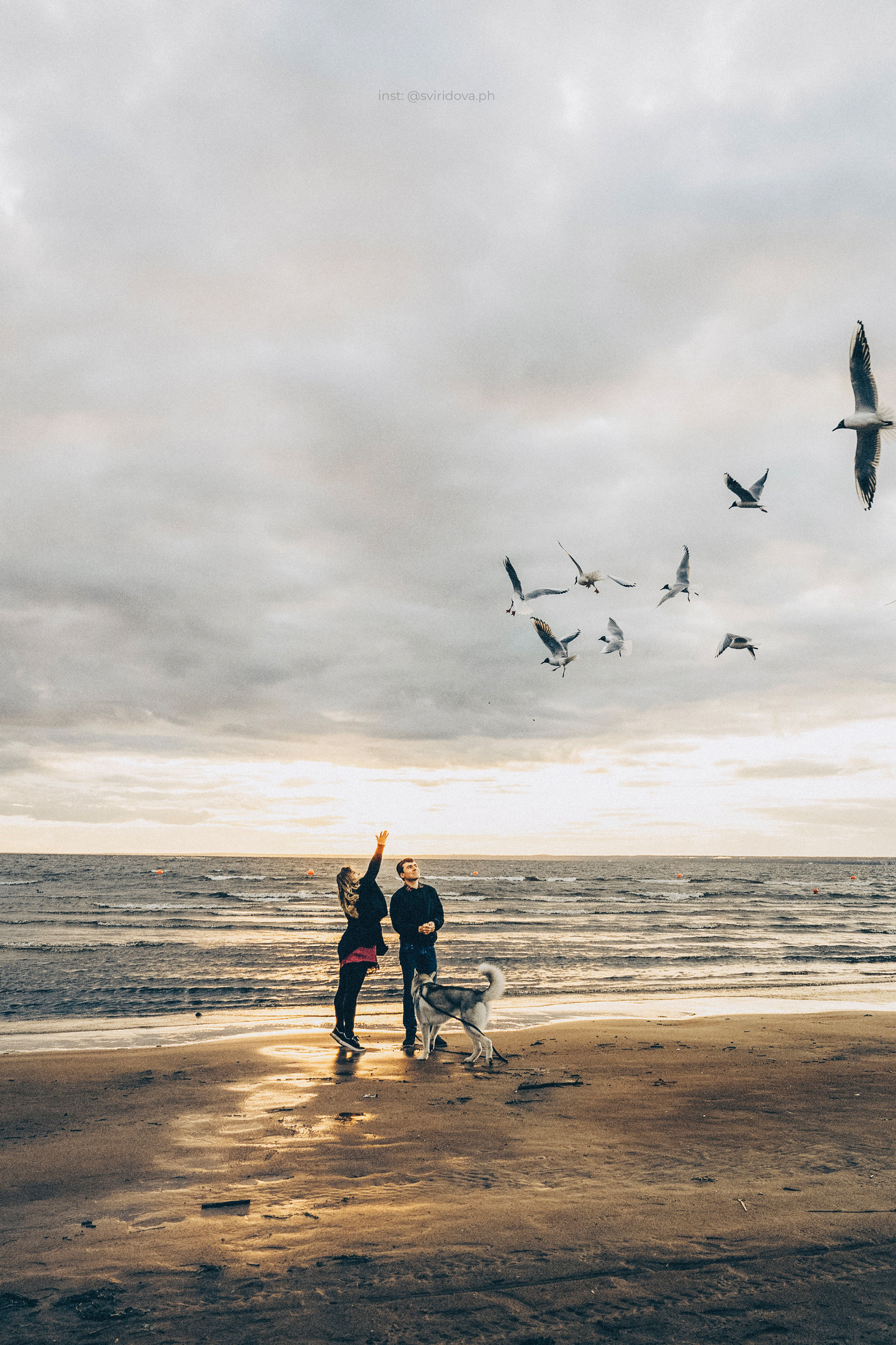 Катя, Илья, Лагерта. Фотограф анималист в Москве и Санкт-Петербурге Свиридова Анна
