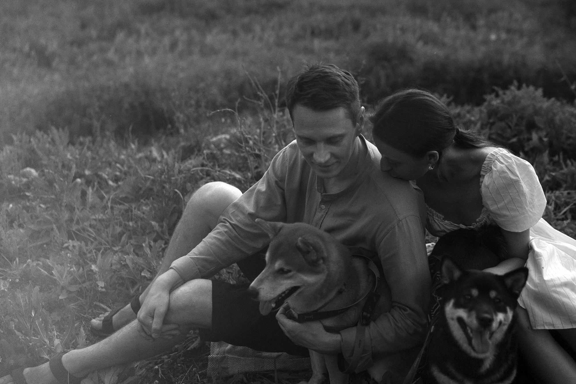 Катя, Вася, Роки и Бэлла. Фотограф анималист в Москве и Санкт-Петербурге Свиридова Анна