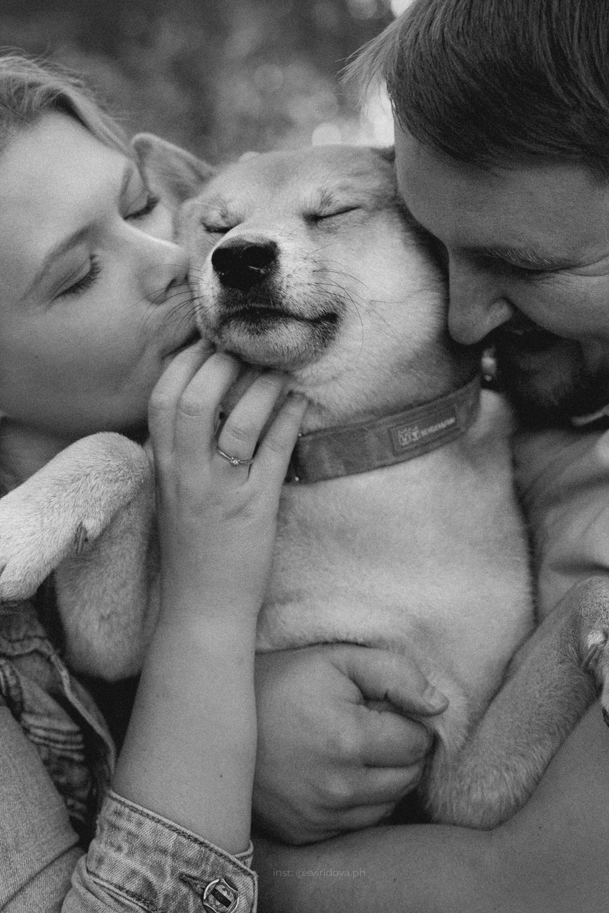 Даша, Сергей и Френки. Фотограф анималист в Москве и Санкт-Петербурге Свиридова Анна