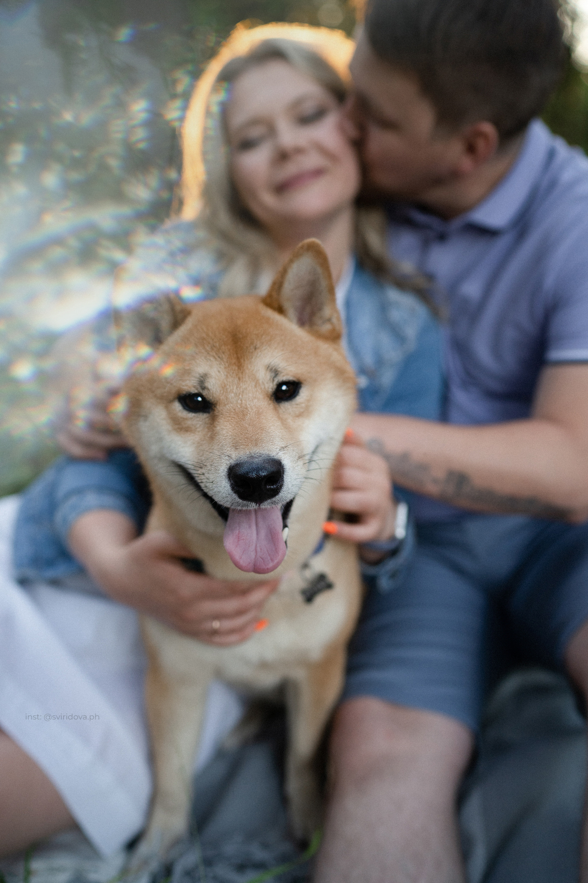 Даша, Сергей и Френки. Фотограф анималист в Москве и Санкт-Петербурге Свиридова Анна