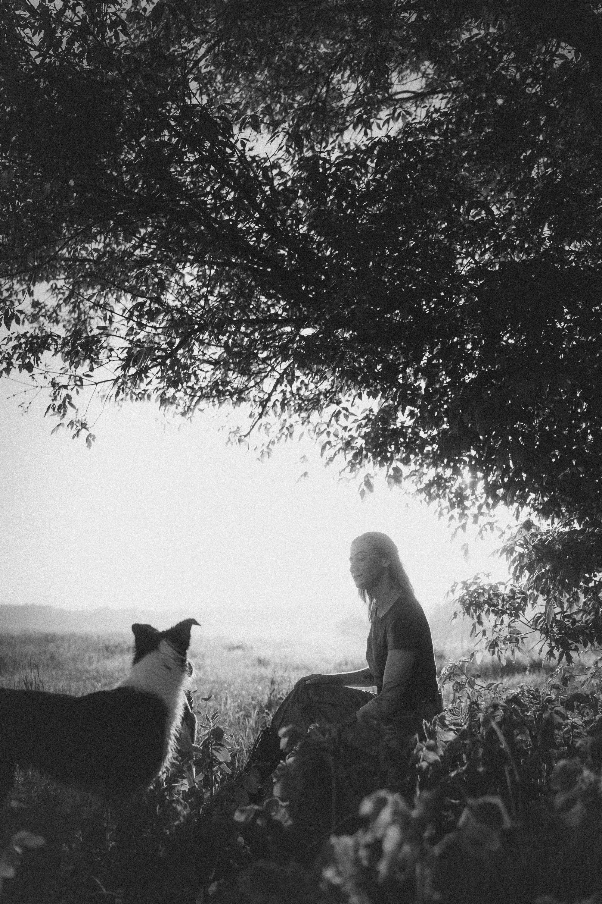 Софа, Уна и Лють. Фотограф анималист в Москве и Санкт-Петербурге Свиридова Анна