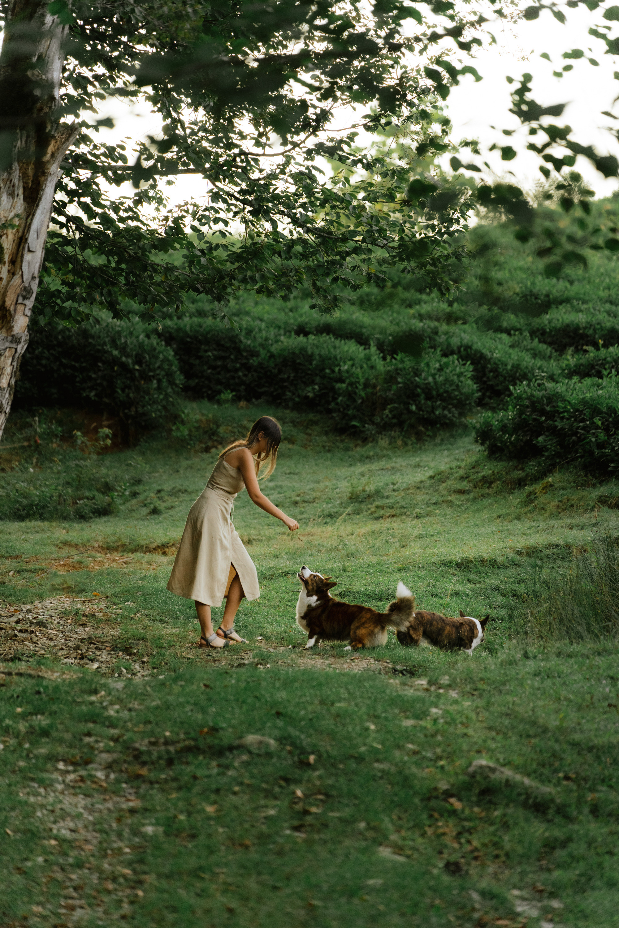 Влада и Коржики. Фотограф анималист в Москве и Санкт-Петербурге Свиридова Анна