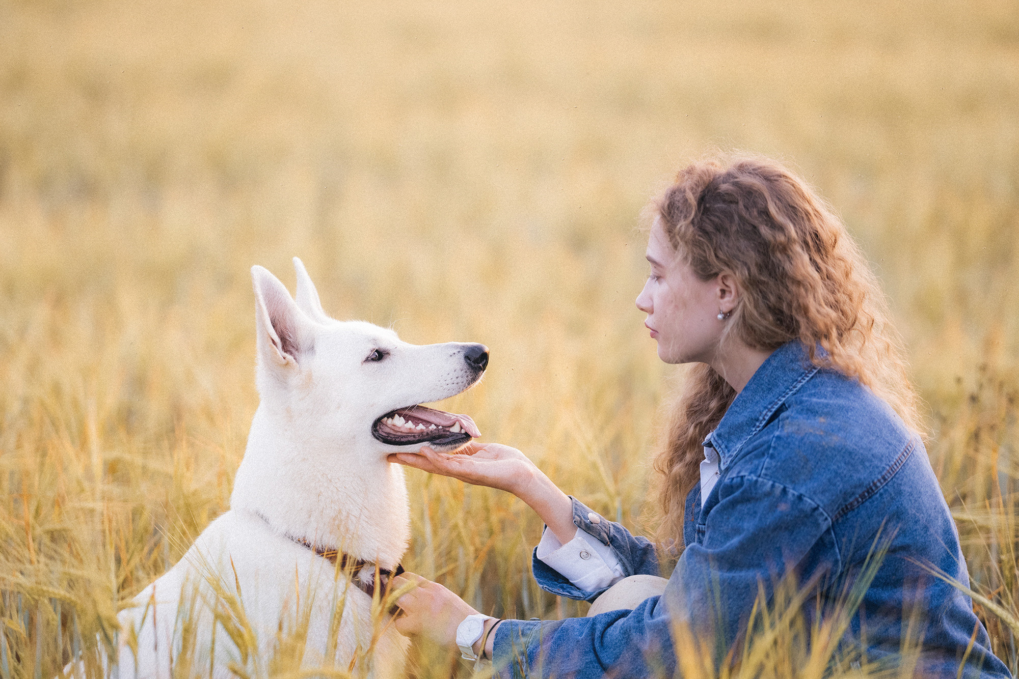 Лиза и Юста. Фотограф анималист в Москве и Санкт-Петербурге Свиридова Анна