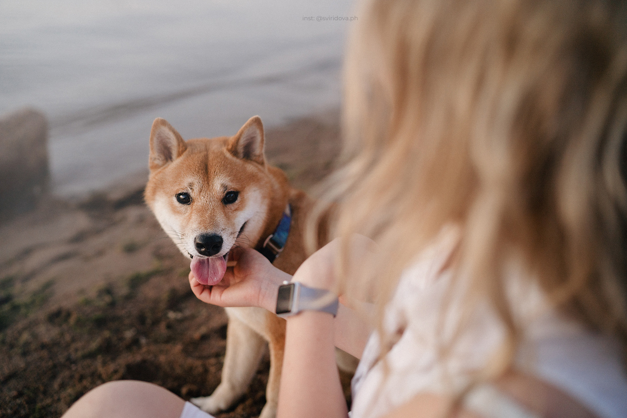 Даша, Сергей и Френки. Фотограф анималист в Москве и Санкт-Петербурге Свиридова Анна