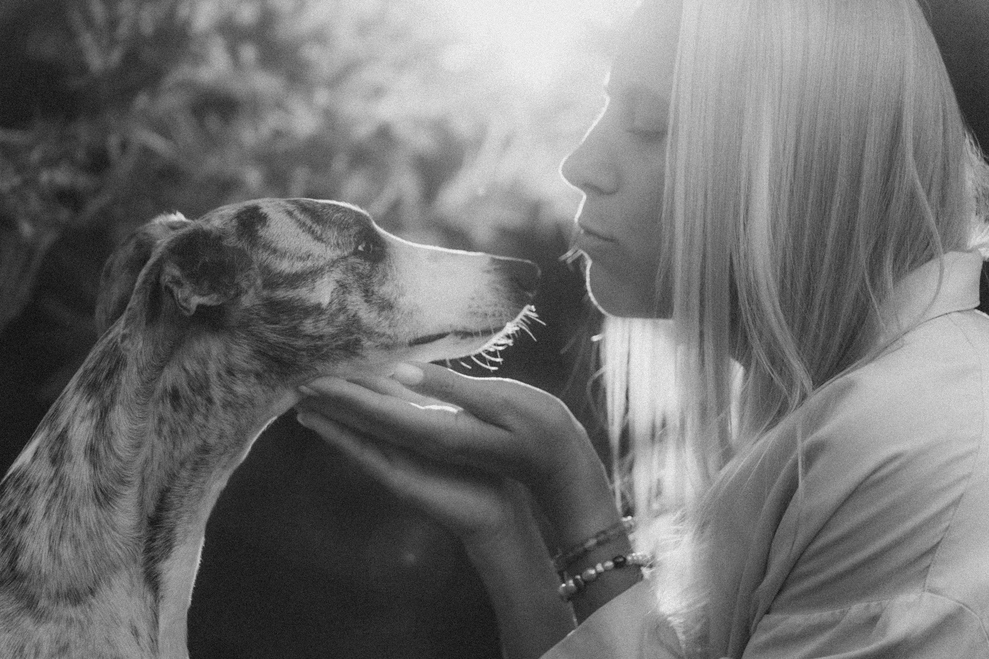 Аня и Джованни. Фотограф анималист в Москве и Санкт-Петербурге Свиридова Анна