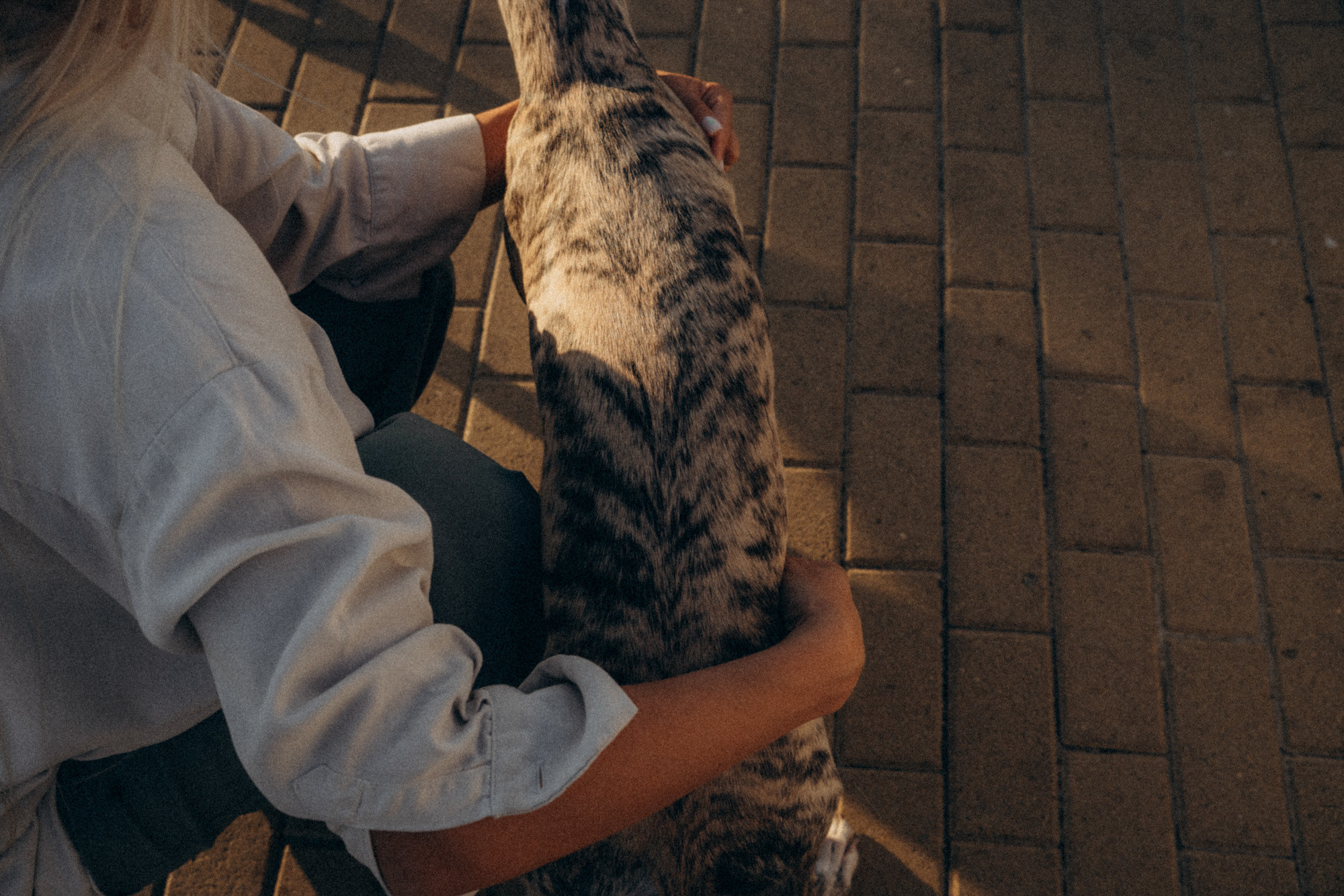 Аня и Джованни. Фотограф анималист в Москве и Санкт-Петербурге Свиридова Анна