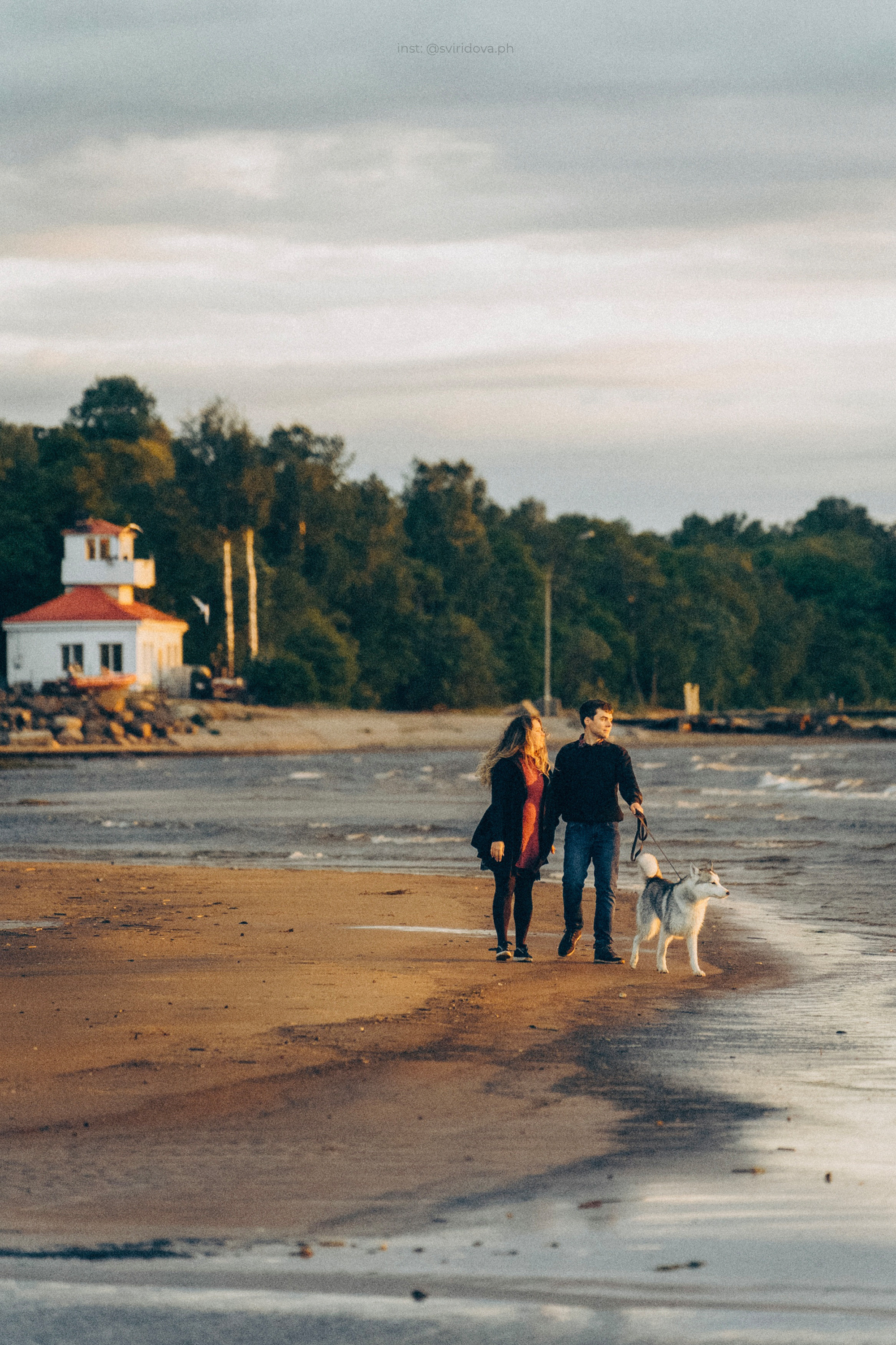 Катя, Илья, Лагерта. Фотограф анималист в Москве и Санкт-Петербурге Свиридова Анна