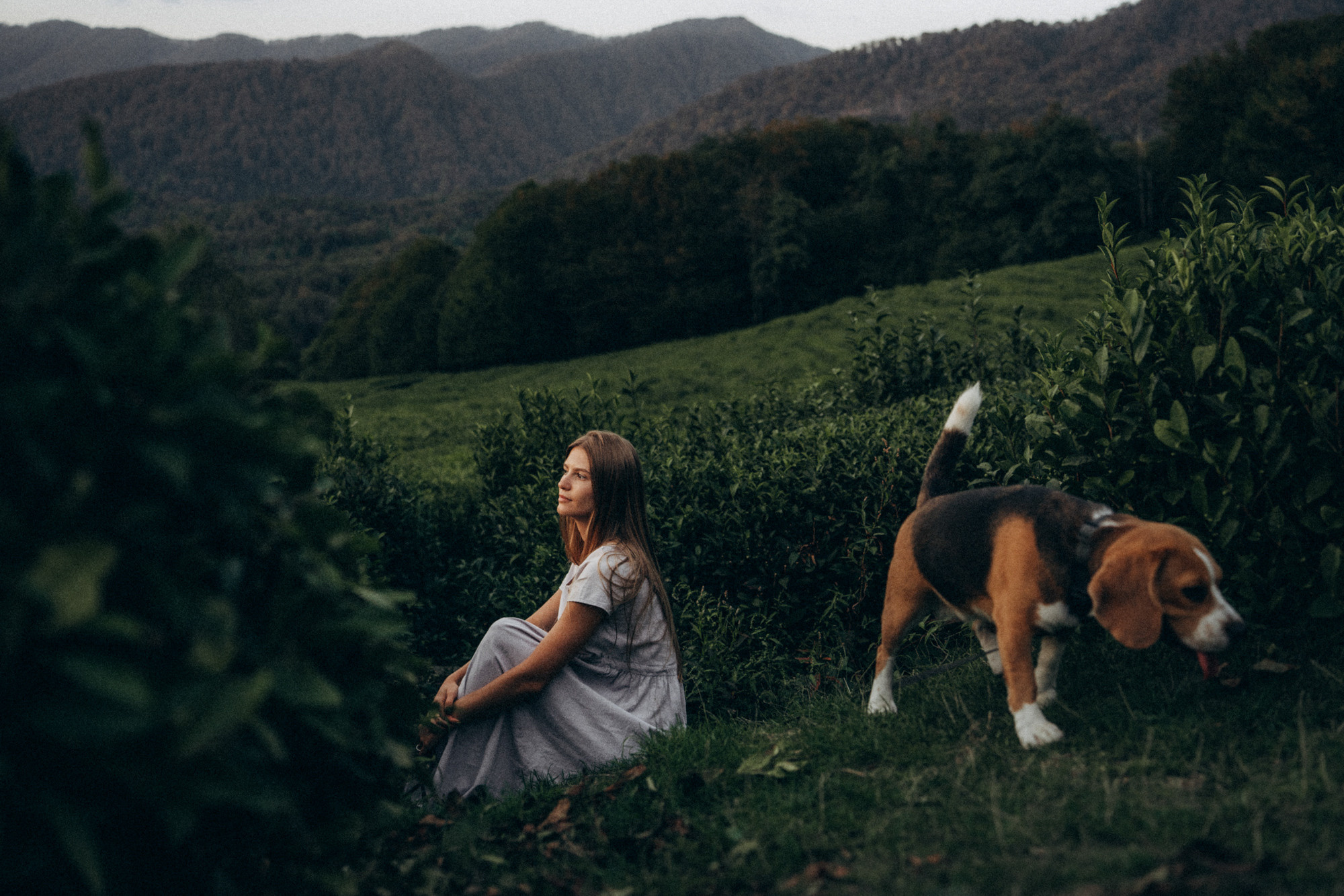Женя и Мира. Фотограф анималист в Москве и Санкт-Петербурге Свиридова Анна