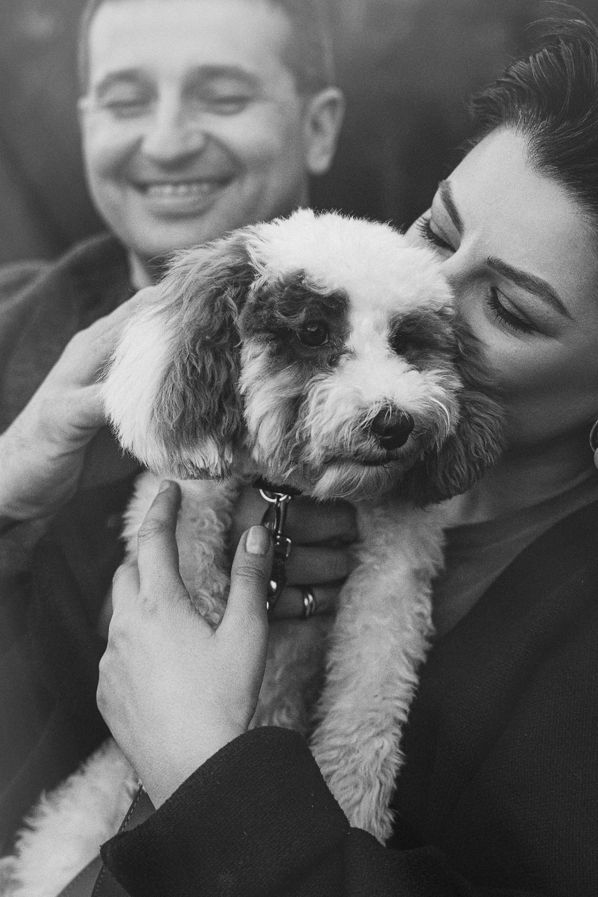 Амина, Андрей и Умка. Фотограф анималист в Москве и Санкт-Петербурге Свиридова Анна