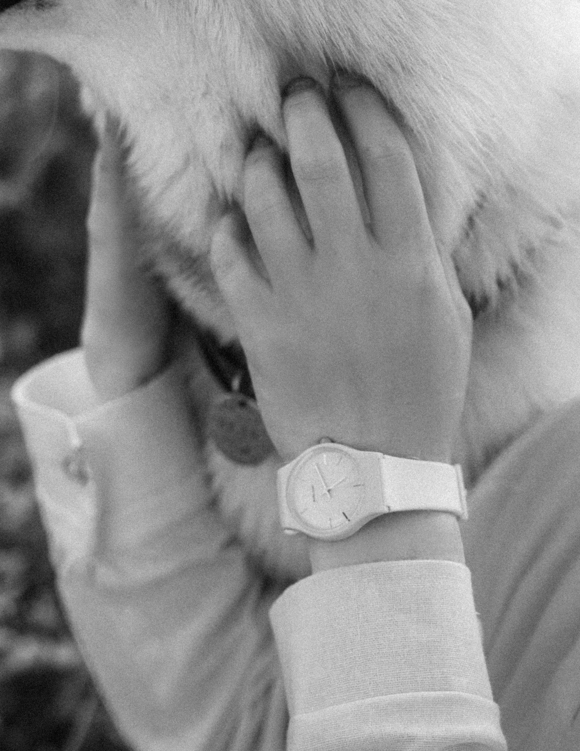 Лиза и Юста. Фотограф анималист в Москве и Санкт-Петербурге Свиридова Анна