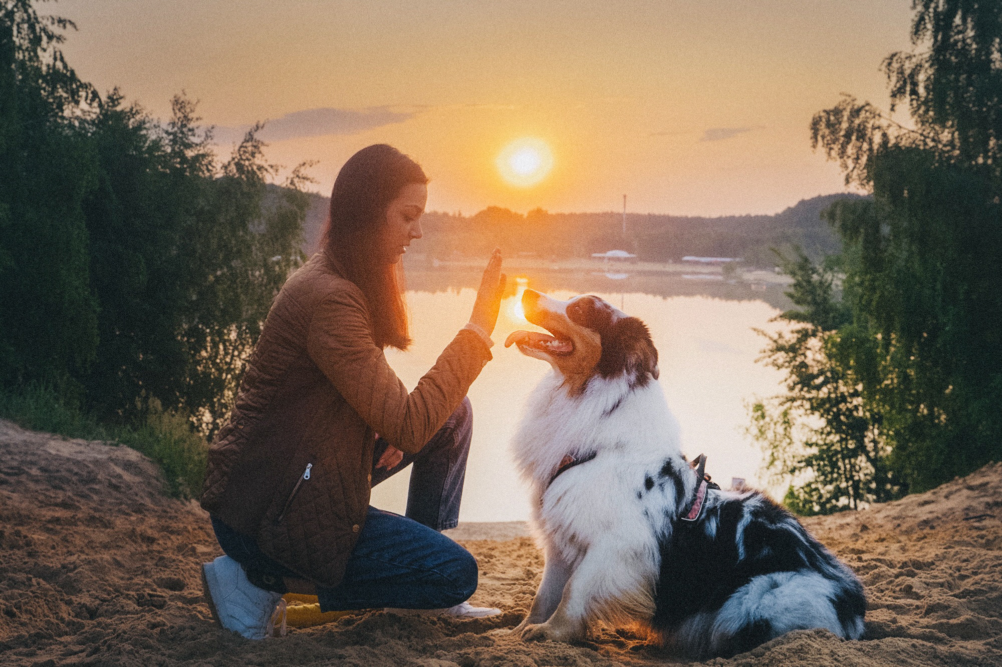 Аня, Игорь, Аусь и Хась. Фотограф анималист в Москве и Санкт-Петербурге Свиридова Анна