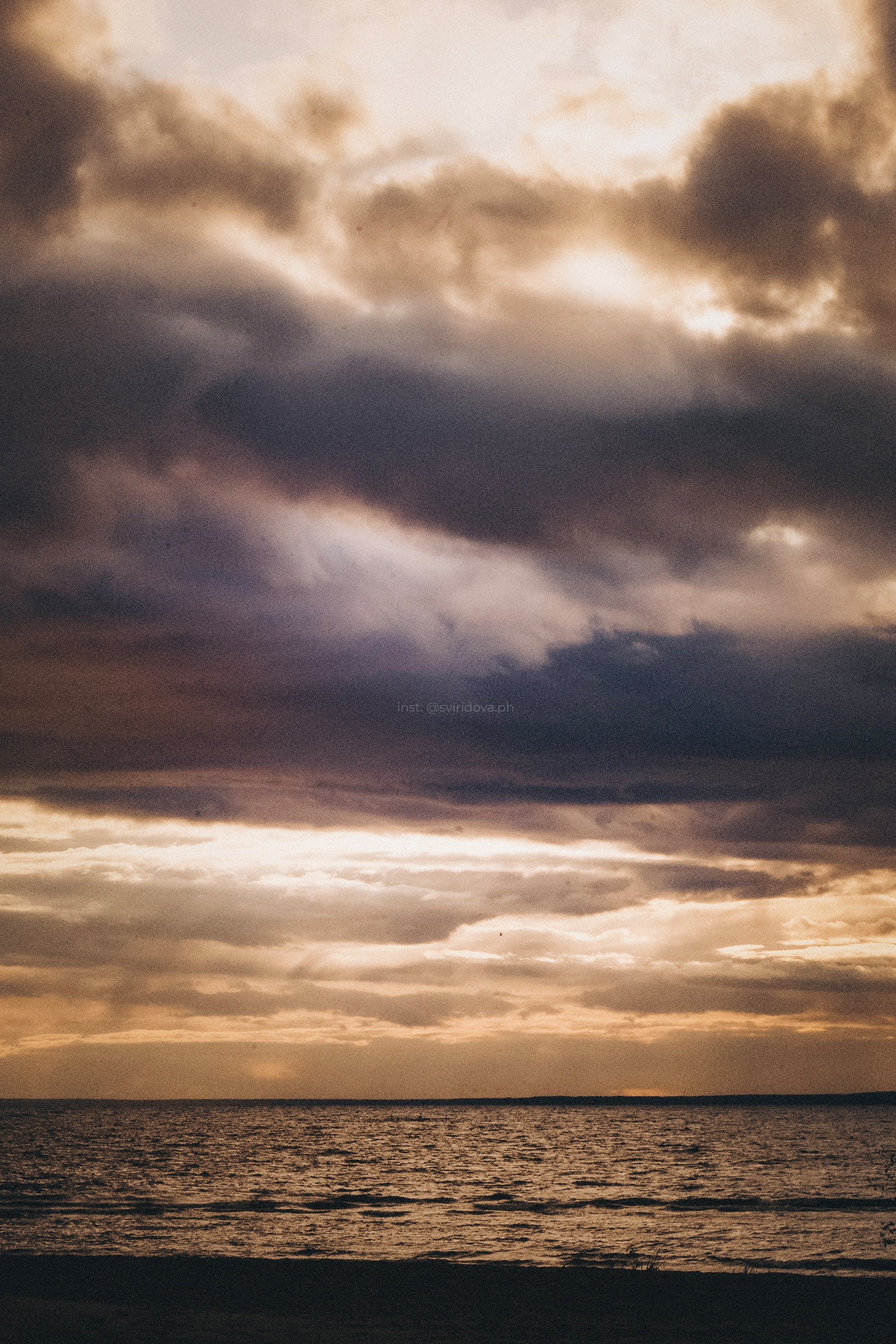 Катя, Илья, Лагерта. Фотограф анималист в Москве и Санкт-Петербурге Свиридова Анна