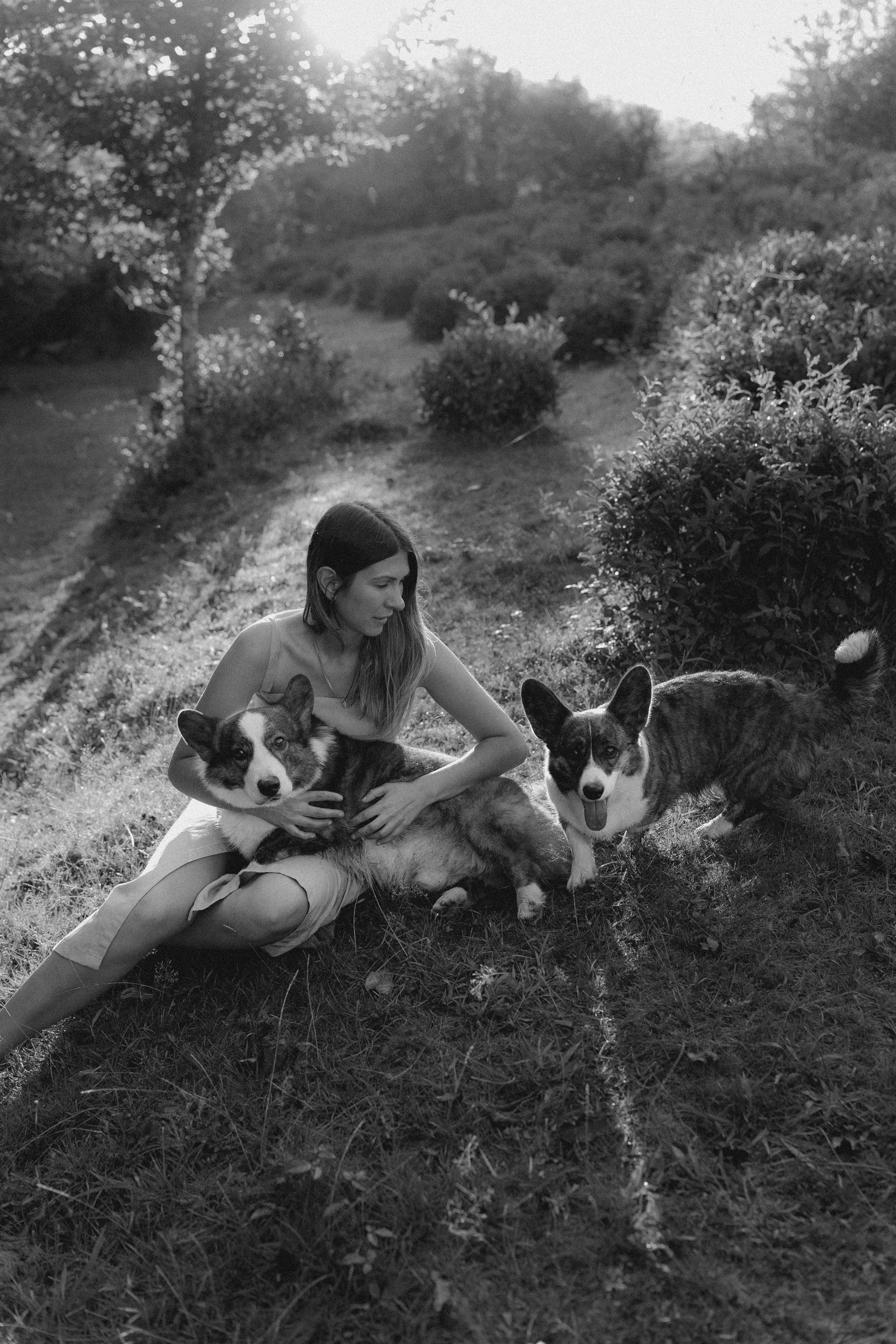 Влада и Коржики. Фотограф анималист в Москве и Санкт-Петербурге Свиридова Анна