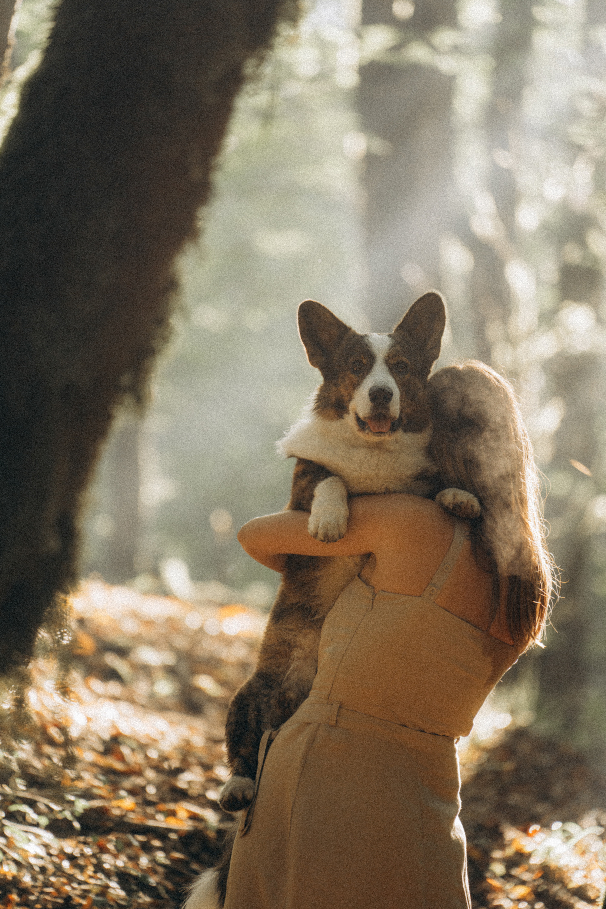 Влада и Коржики. Фотограф анималист в Москве и Санкт-Петербурге Свиридова Анна