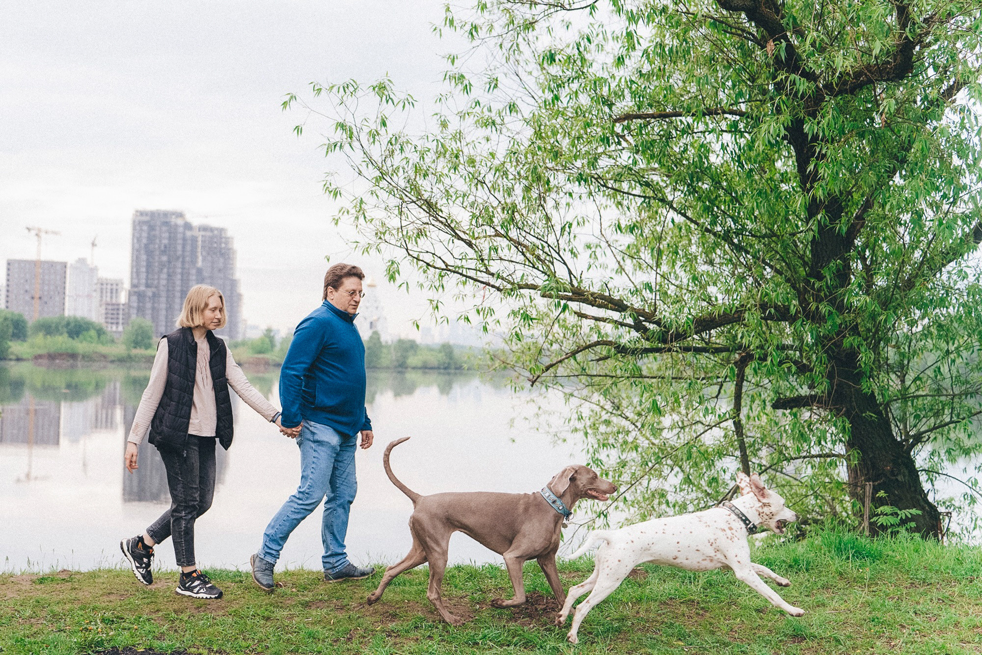 Полина, Борис, Луна и Эль. Фотограф анималист в Москве и Санкт-Петербурге Свиридова Анна