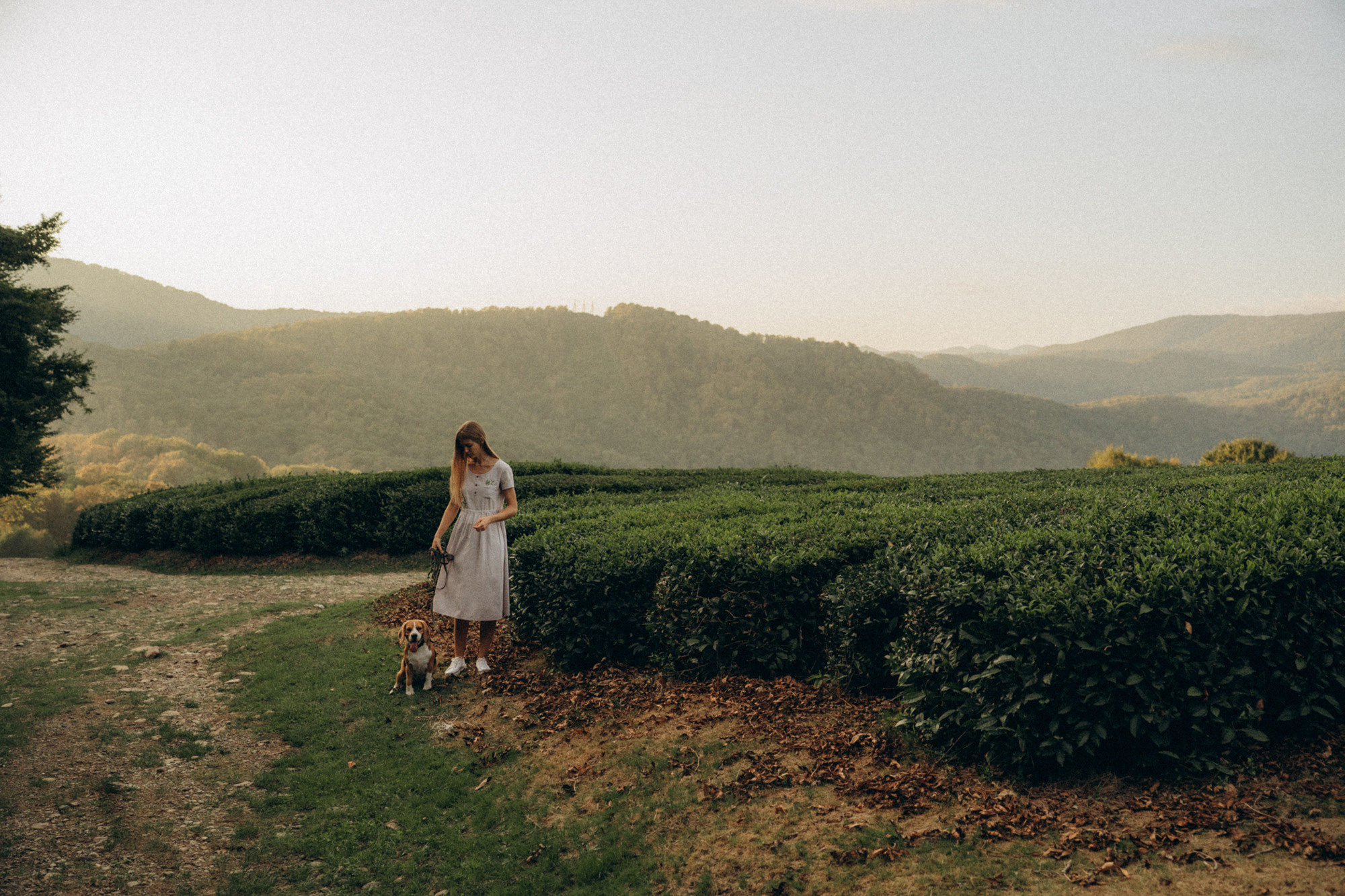 Женя и Мира. Фотограф анималист в Москве и Санкт-Петербурге Свиридова Анна