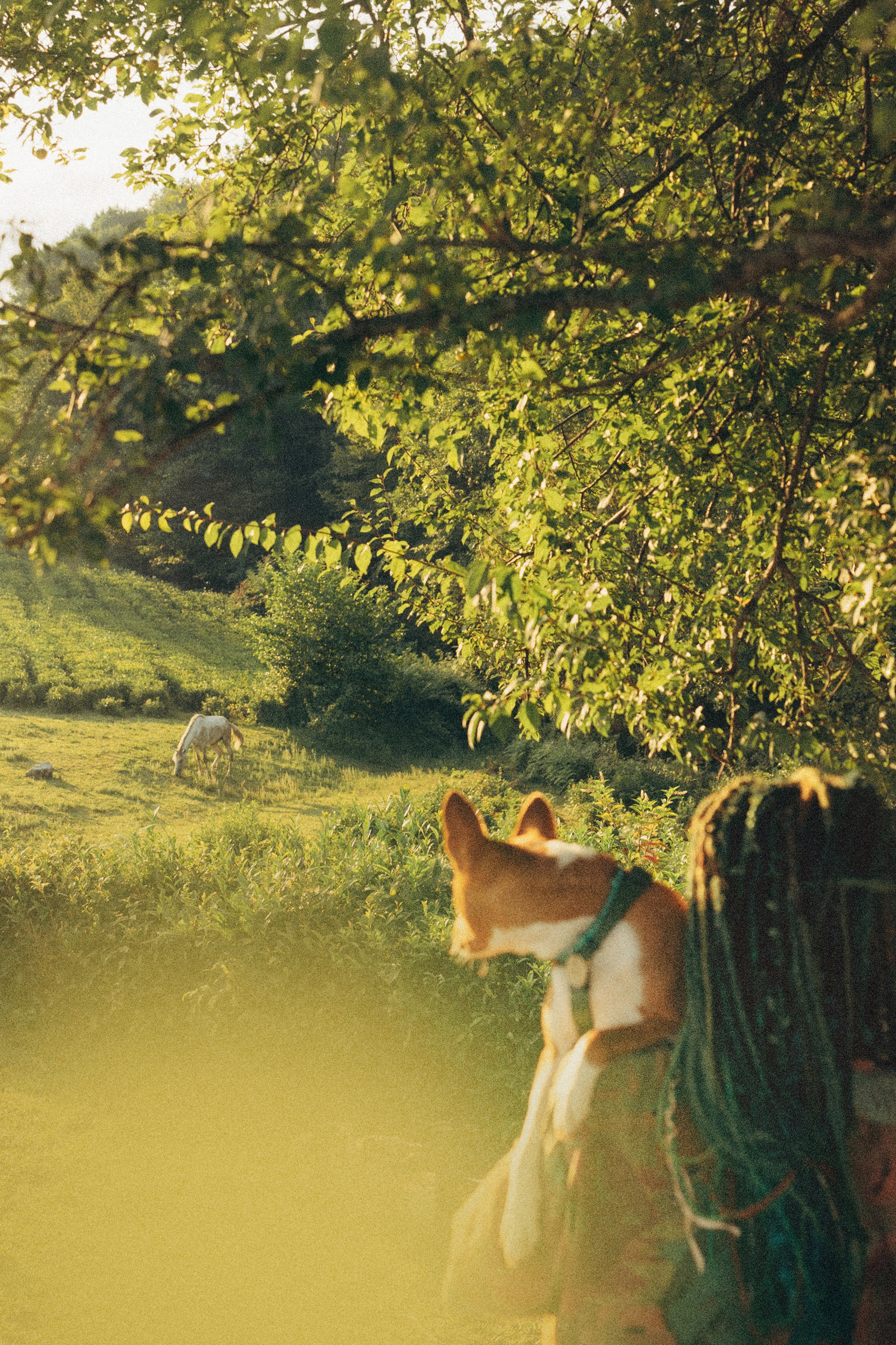 Арина и Рики. Фотограф анималист в Москве и Санкт-Петербурге Свиридова Анна