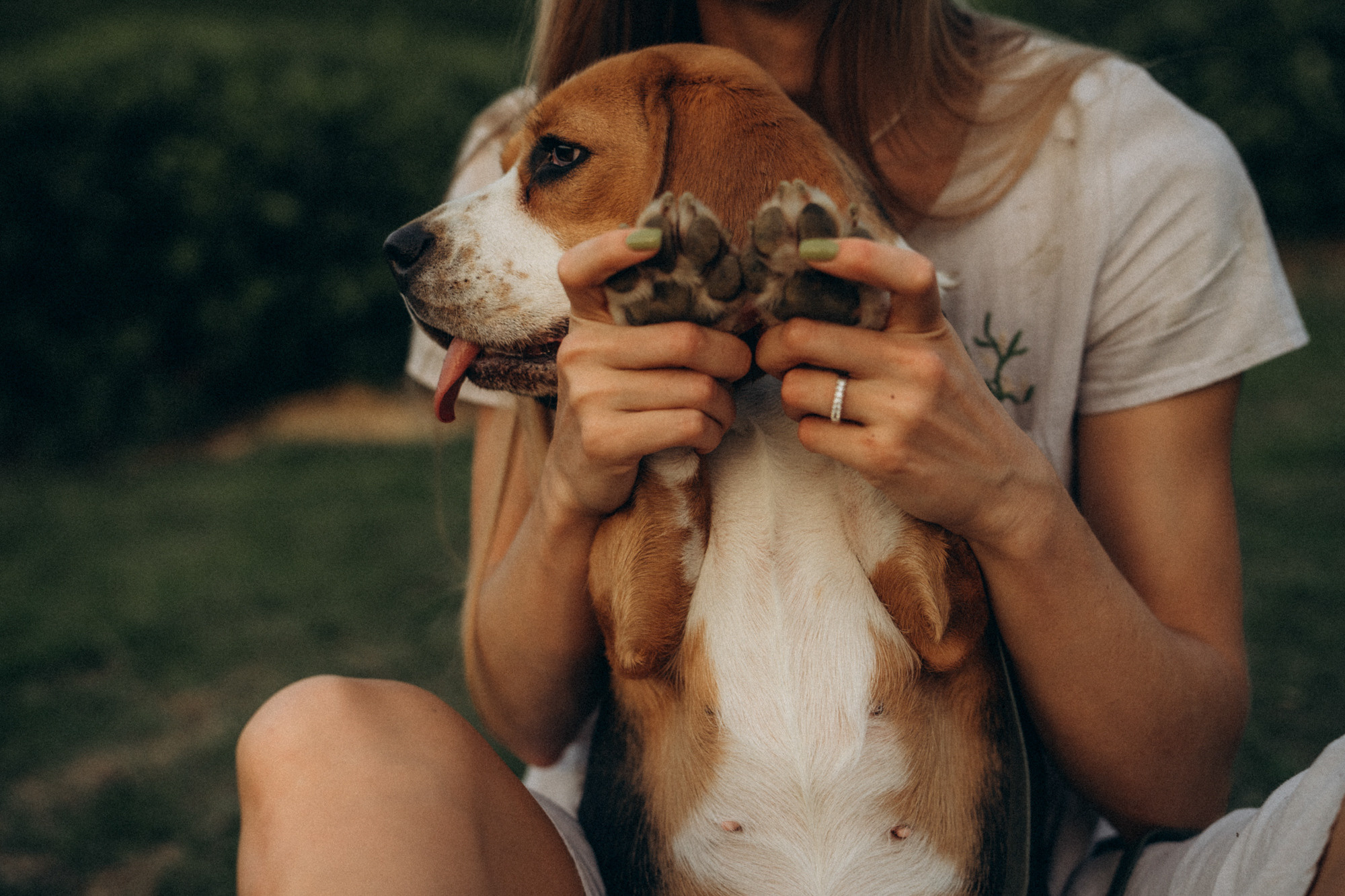 Женя и Мира. Фотограф анималист в Москве и Санкт-Петербурге Свиридова Анна