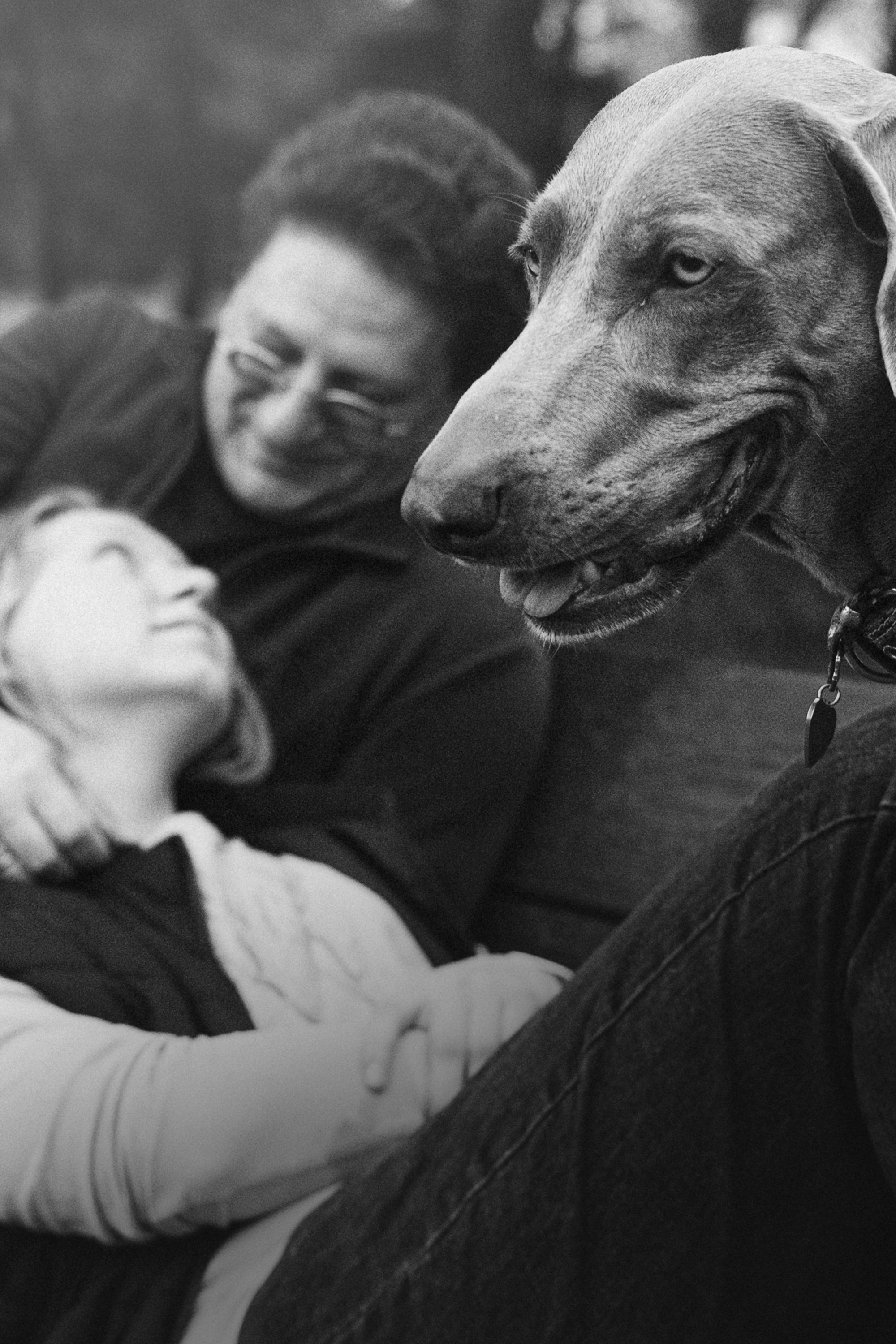 Полина, Борис, Луна и Эль. Фотограф анималист в Москве и Санкт-Петербурге Свиридова Анна