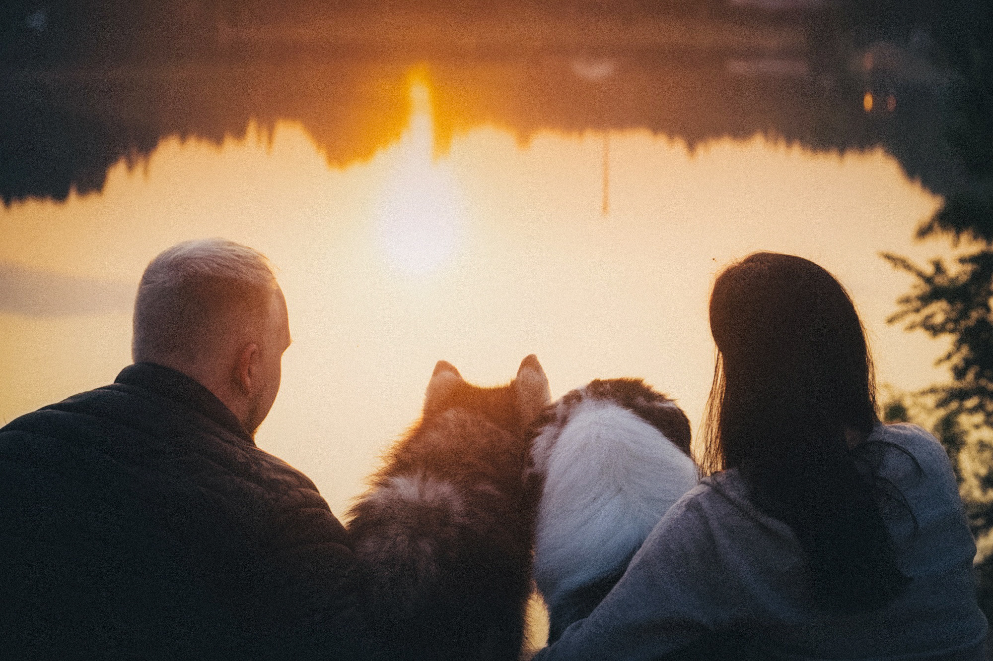 Аня, Игорь, Аусь и Хась. Фотограф анималист в Москве и Санкт-Петербурге Свиридова Анна
