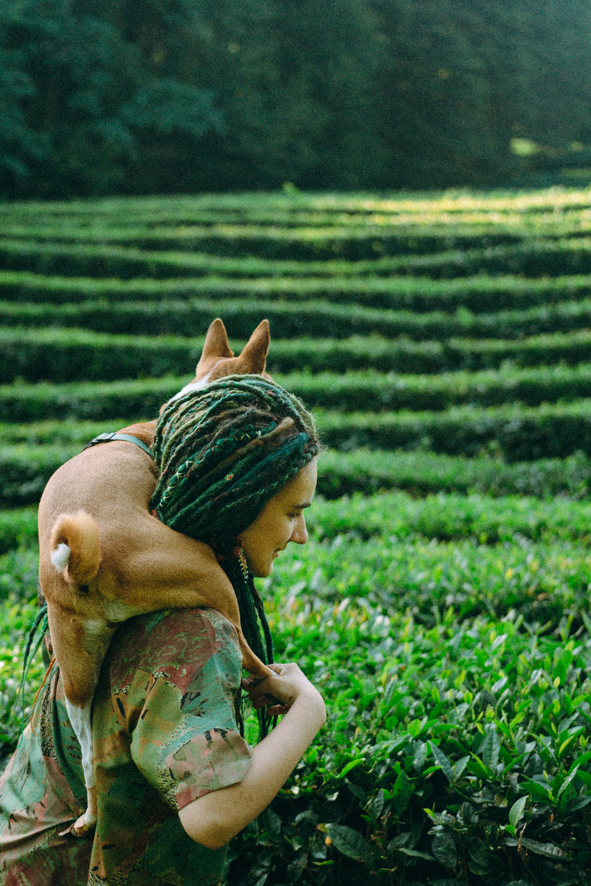 Арина и Рики. Фотограф анималист в Москве и Санкт-Петербурге Свиридова Анна