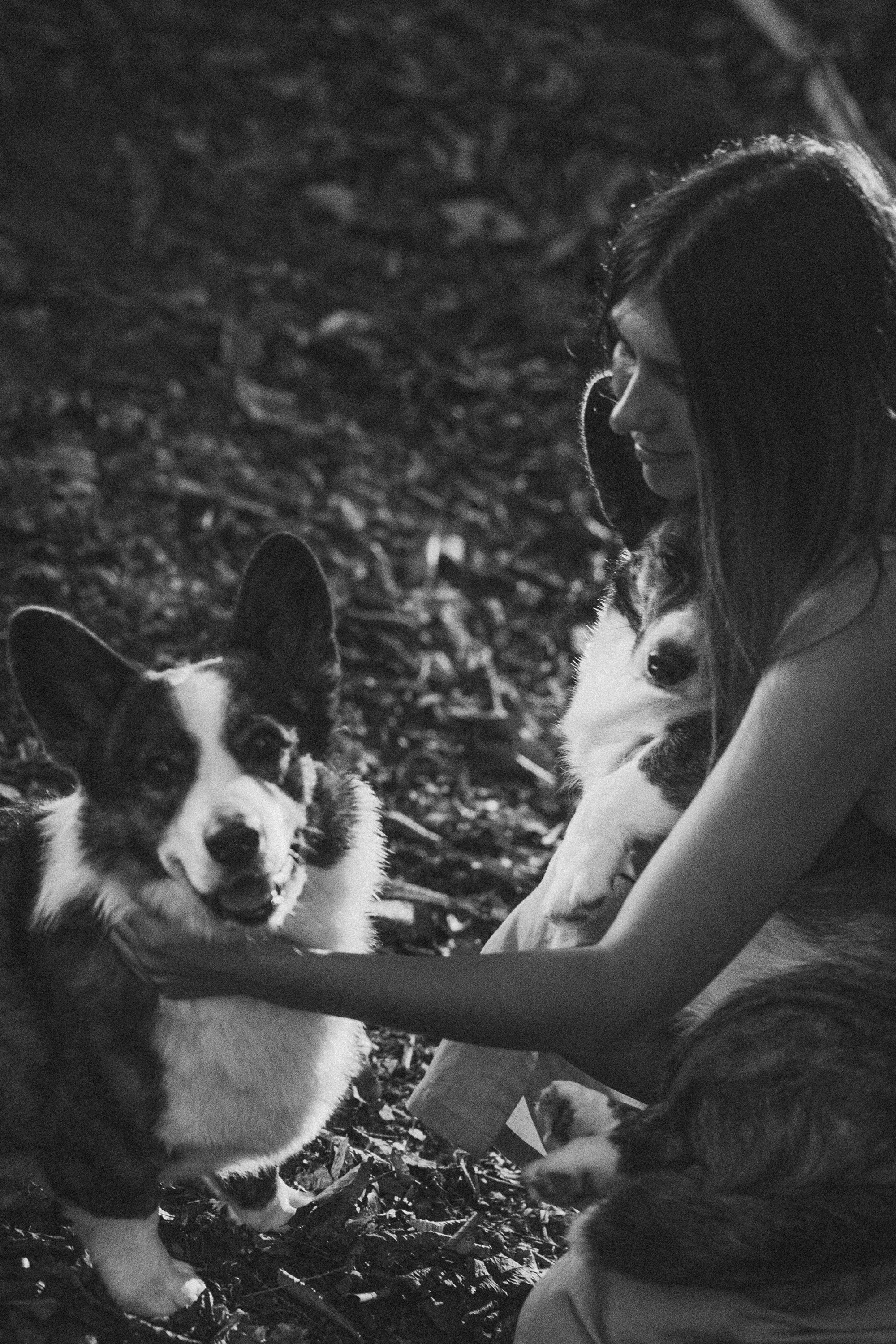 Влада и Коржики. Фотограф анималист в Москве и Санкт-Петербурге Свиридова Анна