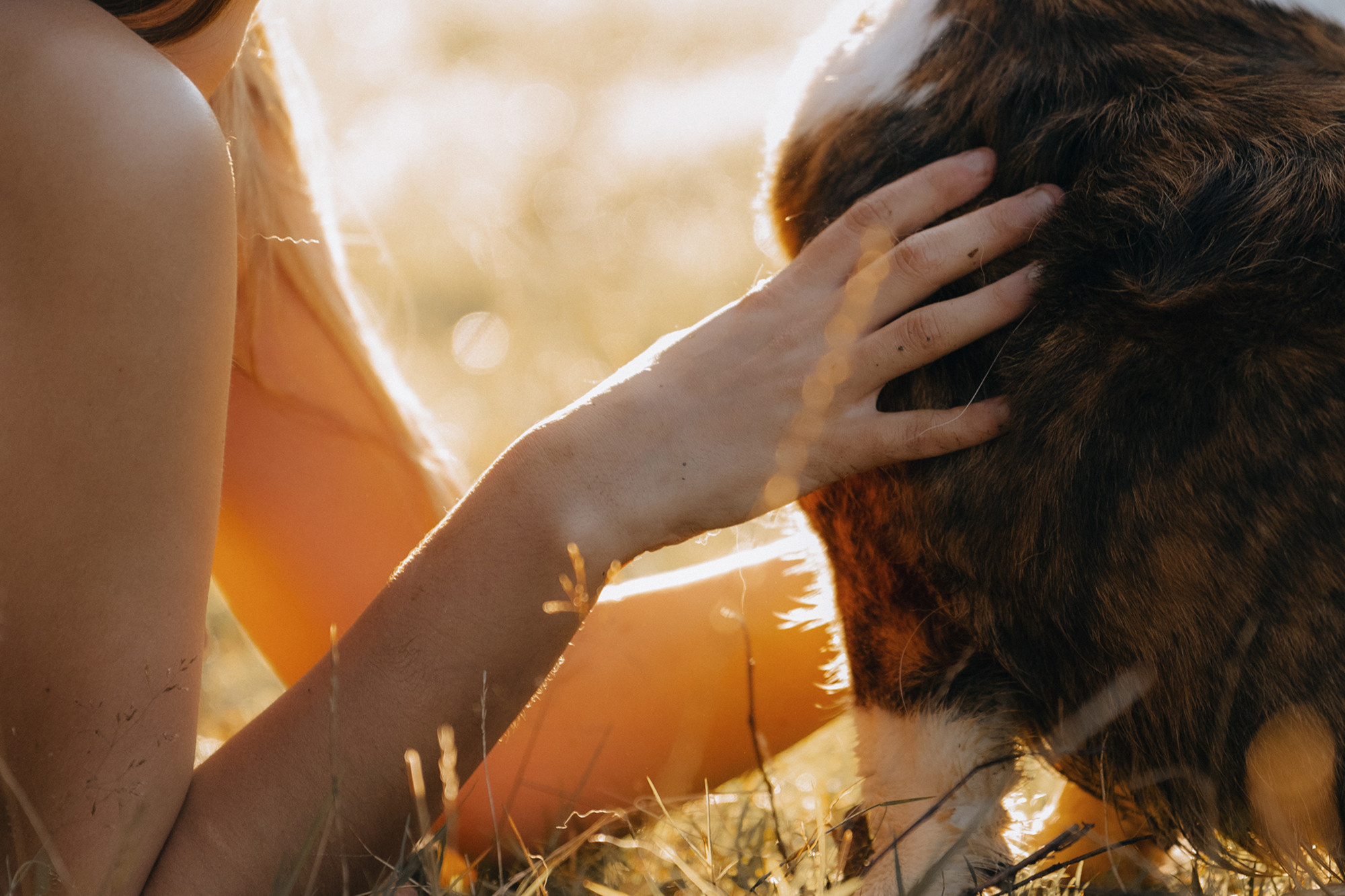 Влада и Коржики. Фотограф анималист в Москве и Санкт-Петербурге Свиридова Анна