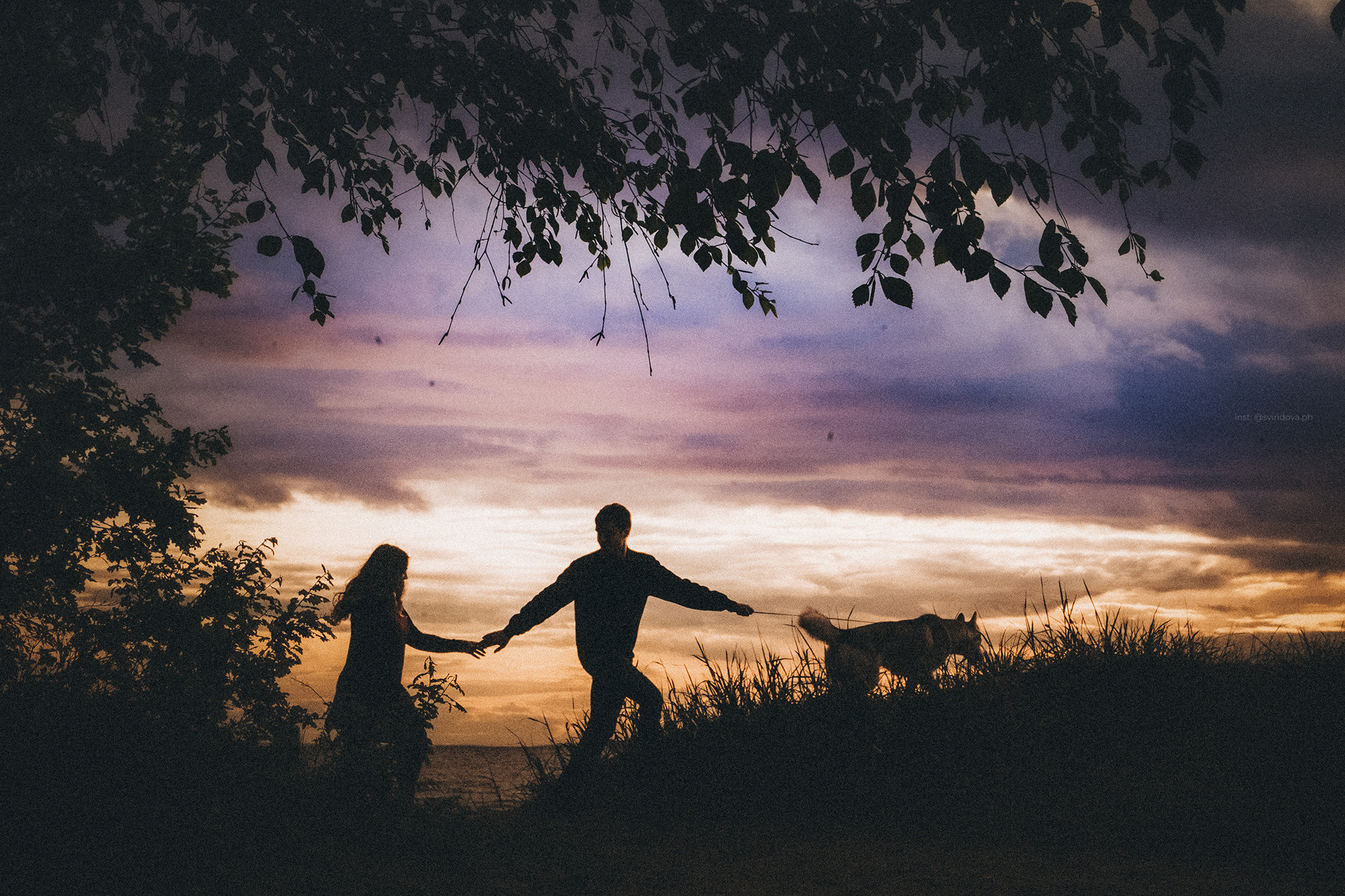 Катя, Илья, Лагерта. Фотограф анималист в Москве и Санкт-Петербурге Свиридова Анна
