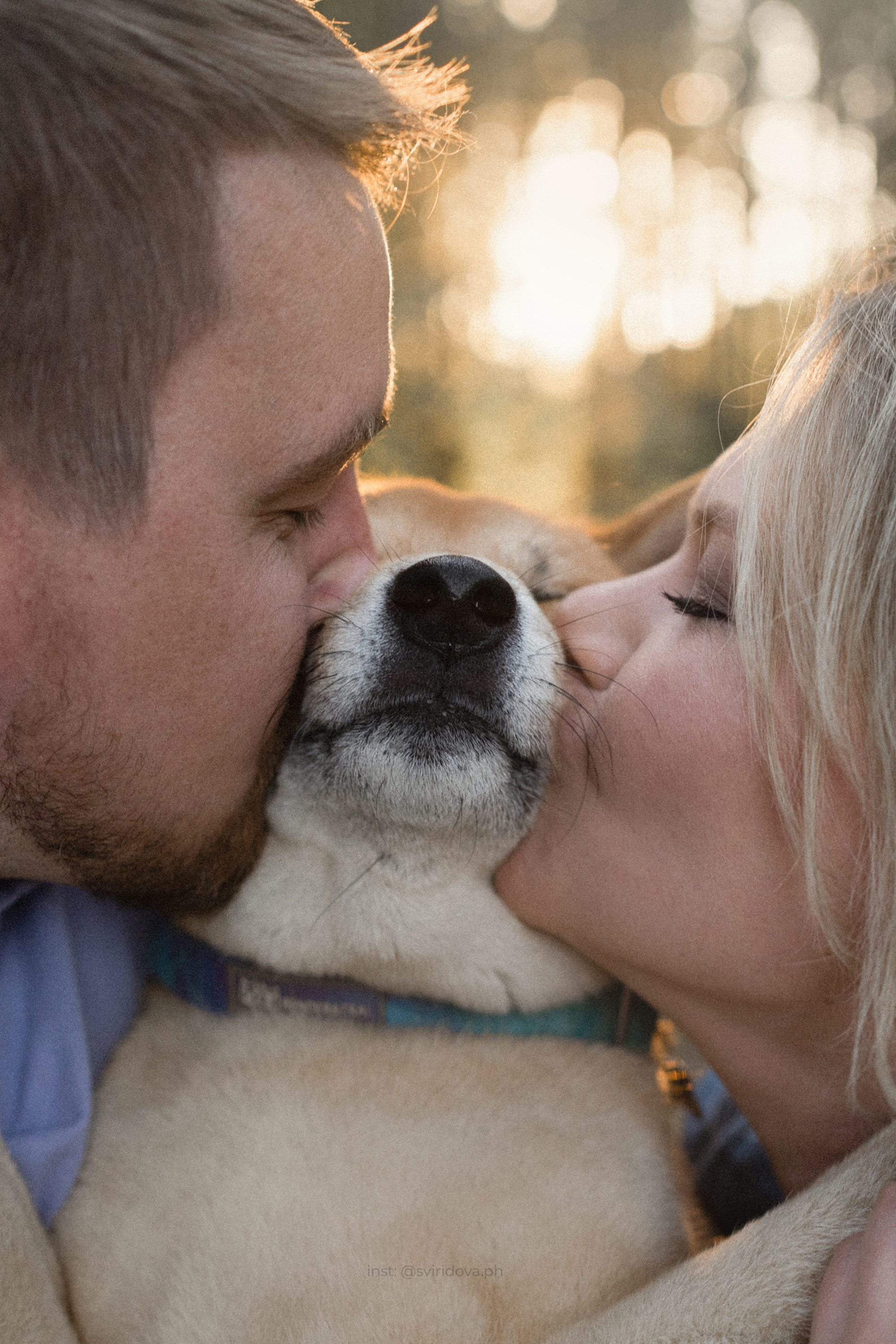 Даша, Сергей и Френки. Фотограф анималист в Москве и Санкт-Петербурге Свиридова Анна