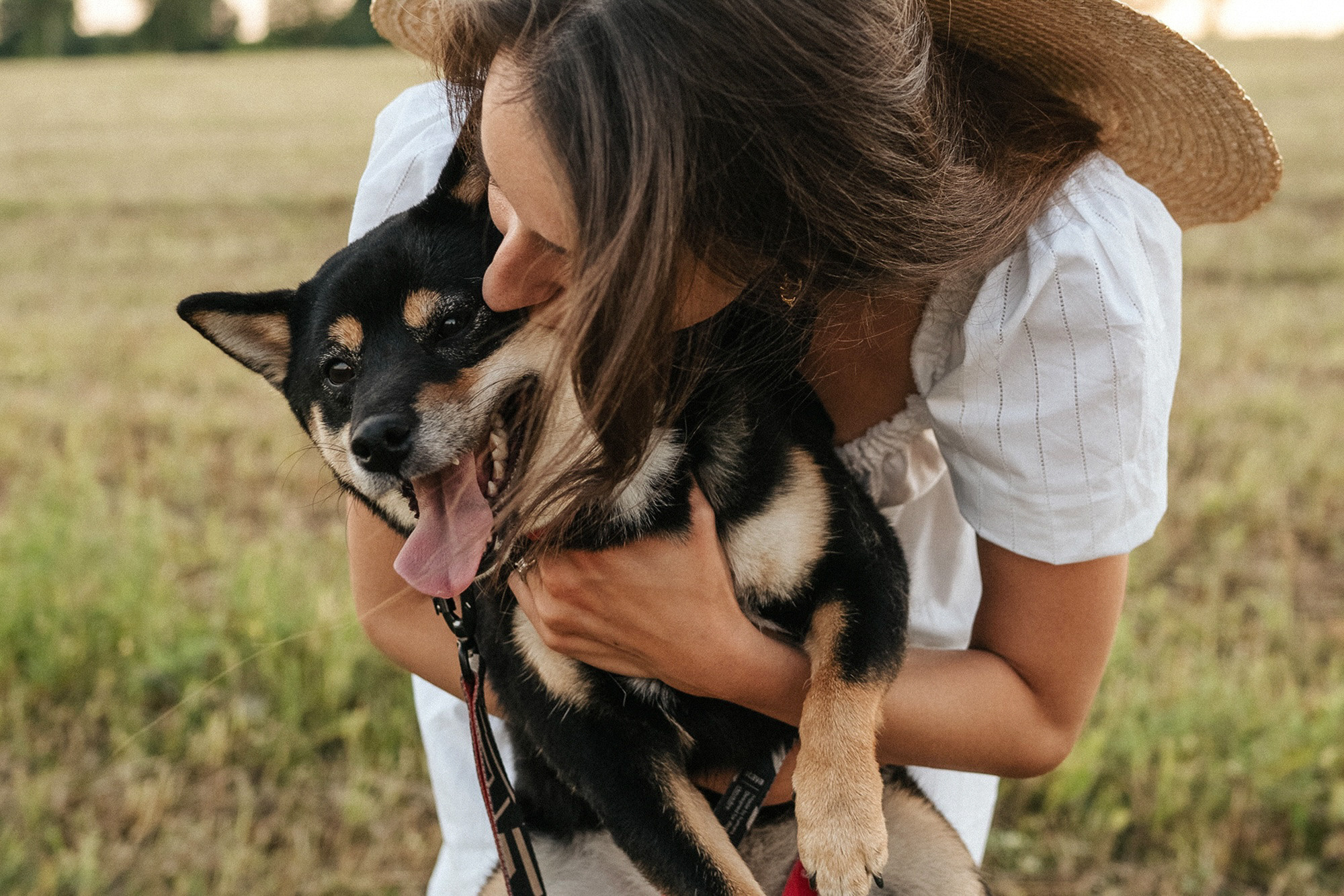 Катя, Вася, Роки и Бэлла. Фотограф анималист в Москве и Санкт-Петербурге Свиридова Анна