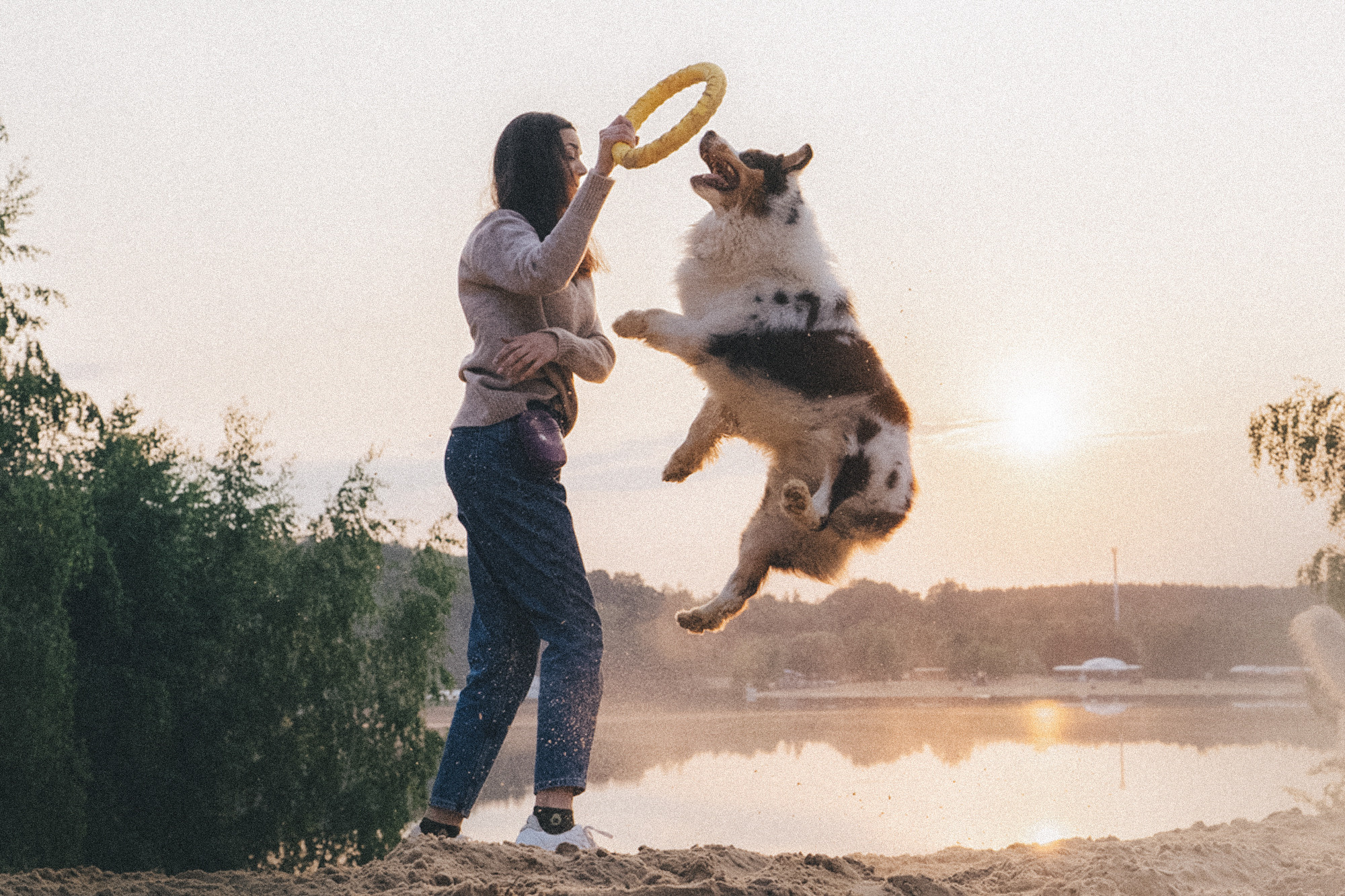 Аня, Игорь, Аусь и Хась. Фотограф анималист в Москве и Санкт-Петербурге Свиридова Анна