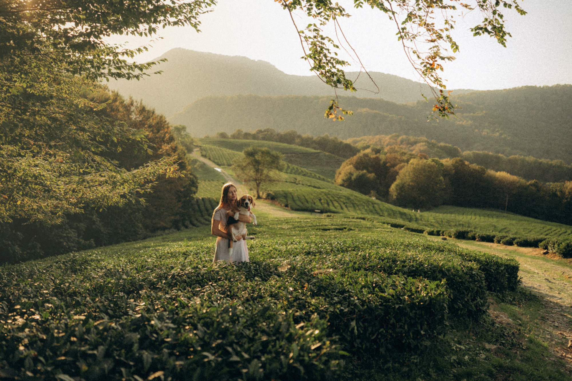 Женя и Мира. Фотограф анималист в Москве и Санкт-Петербурге Свиридова Анна