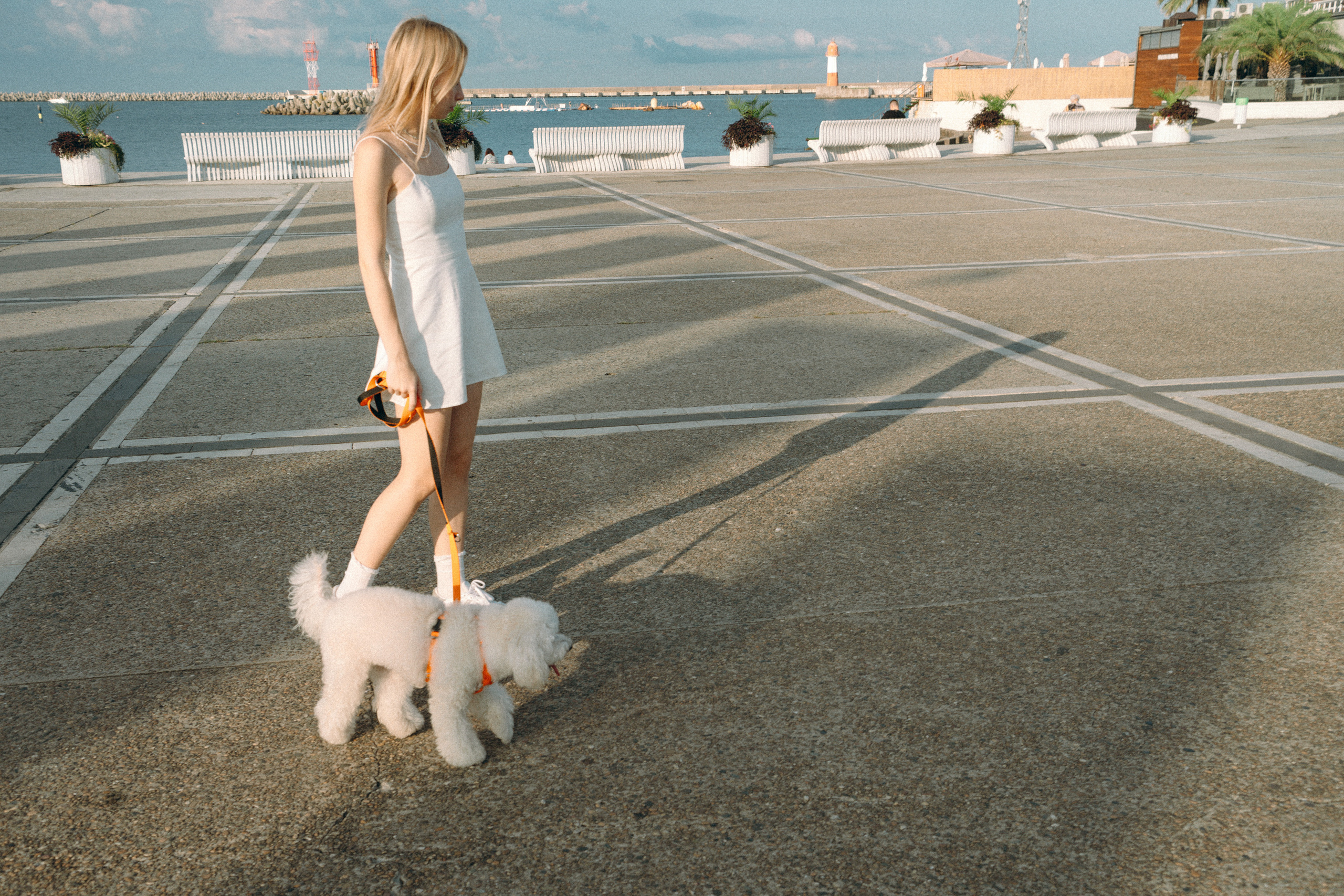 Ангелина и Варежка. Фотограф анималист в Москве и Санкт-Петербурге Свиридова Анна