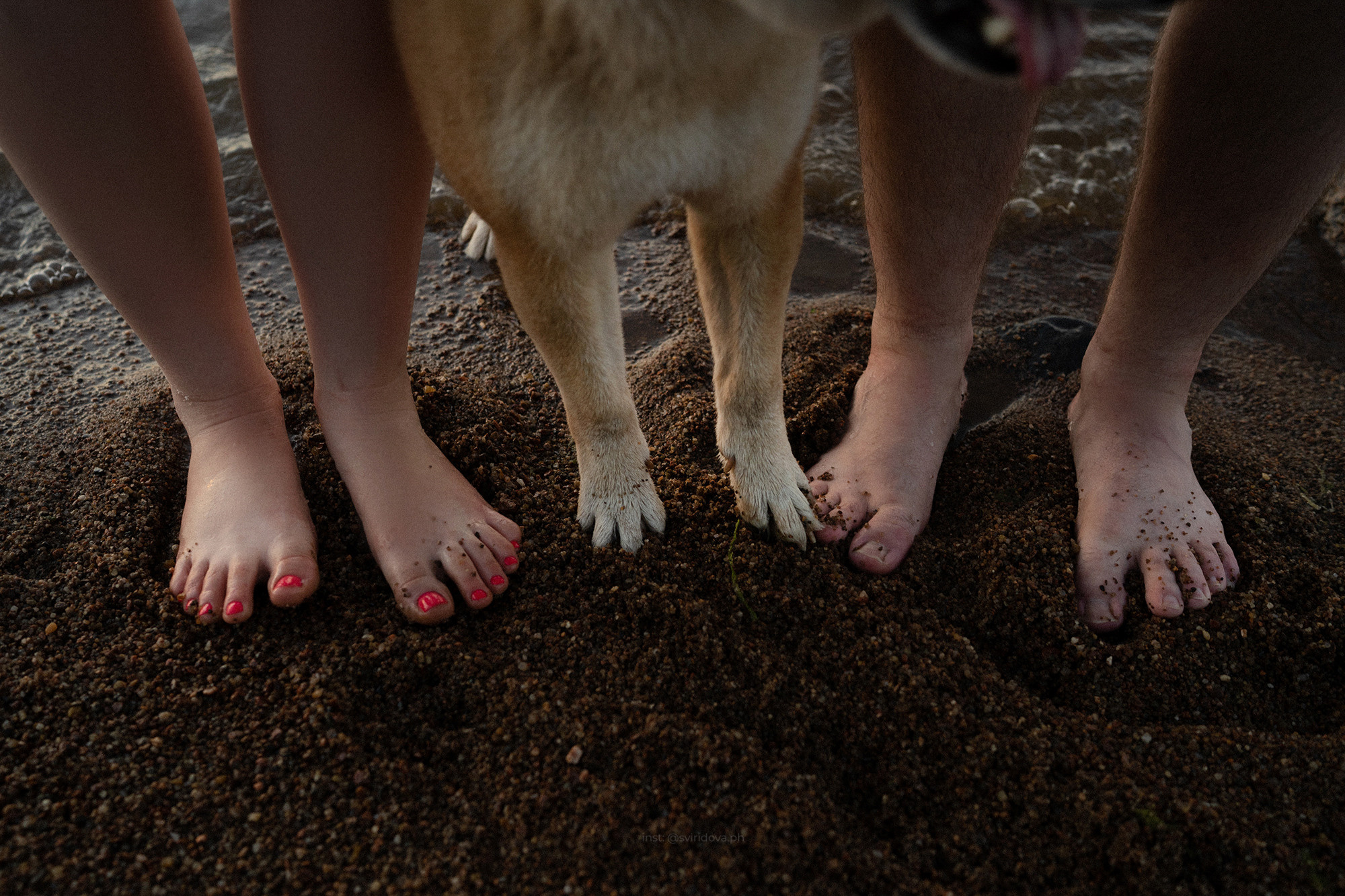 Даша, Сергей и Френки. Фотограф анималист в Москве и Санкт-Петербурге Свиридова Анна
