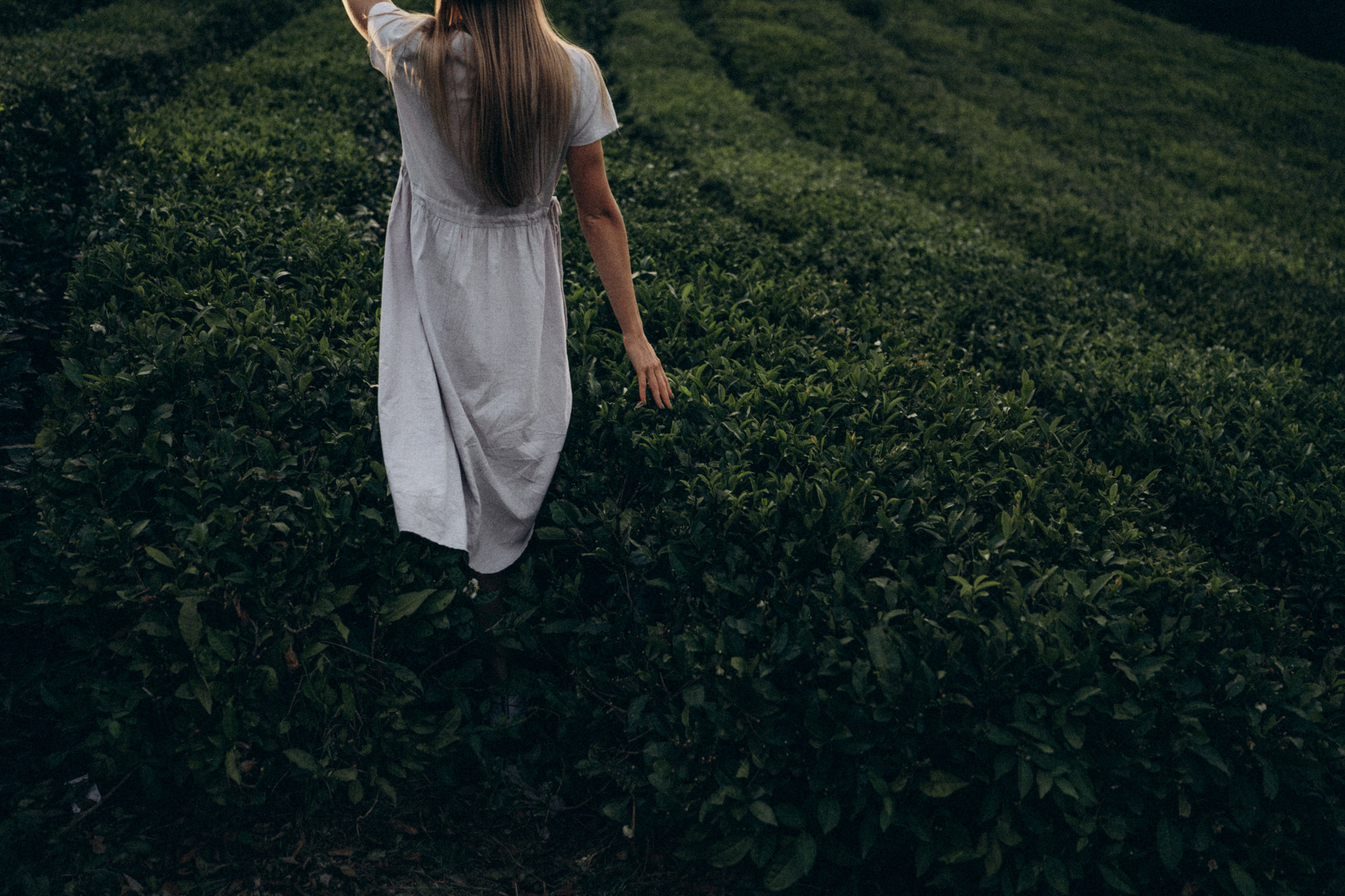 Женя и Мира. Фотограф анималист в Москве и Санкт-Петербурге Свиридова Анна