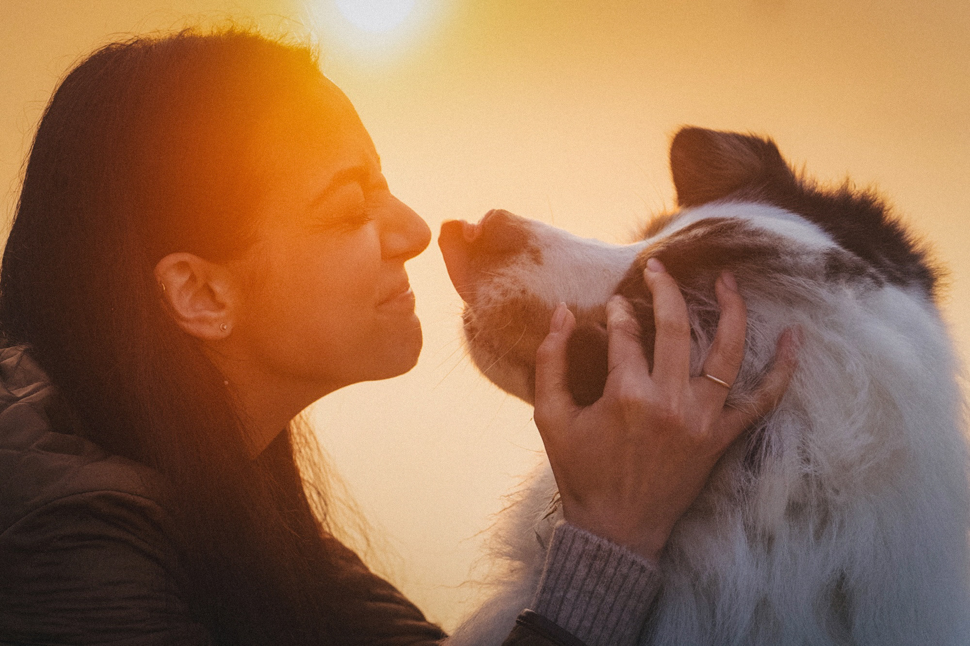 Аня, Игорь, Аусь и Хась. Фотограф анималист в Москве и Санкт-Петербурге Свиридова Анна