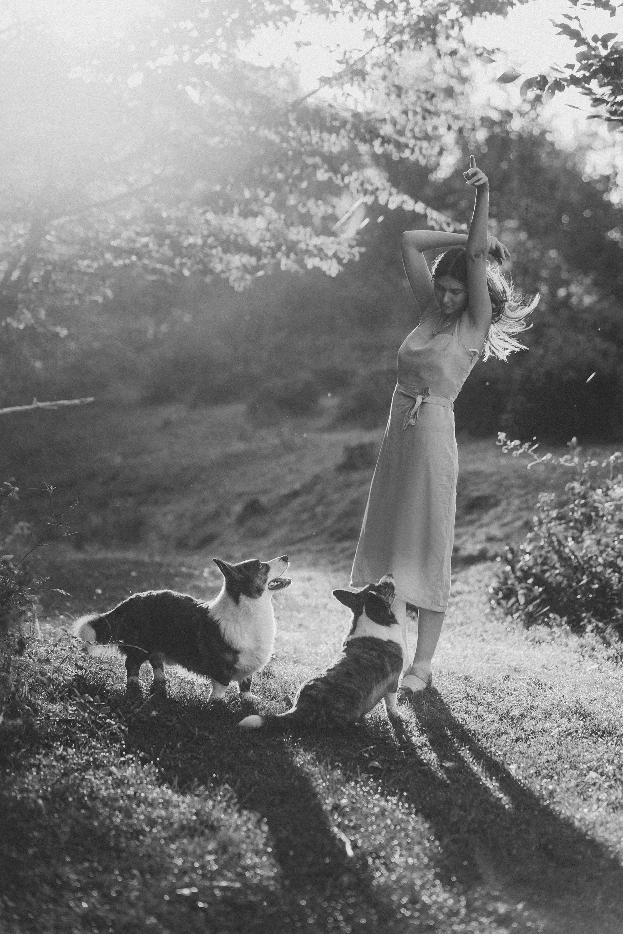 Влада и Коржики. Фотограф анималист в Москве и Санкт-Петербурге Свиридова Анна