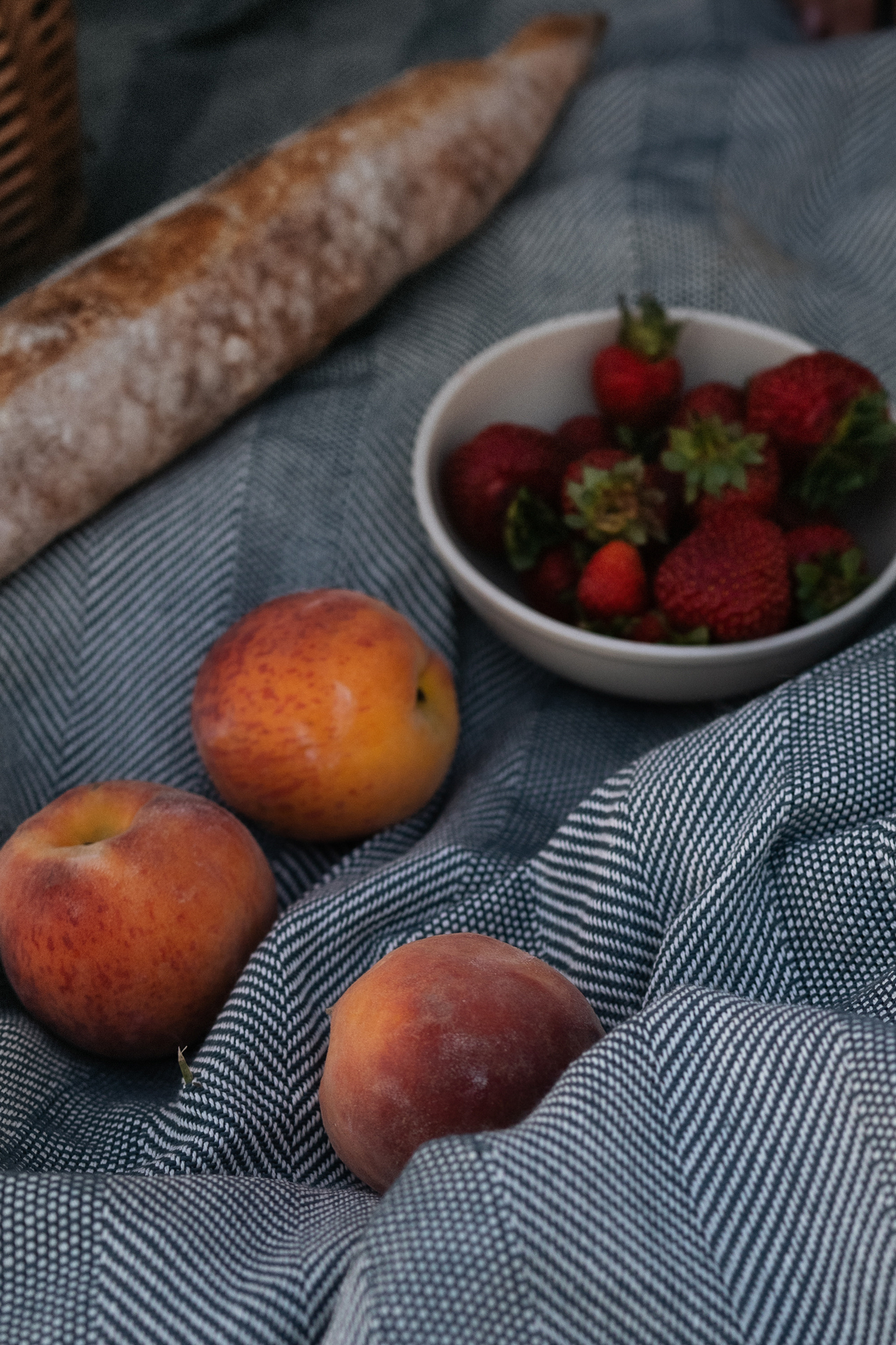 Катя, Вася, Роки и Бэлла. Фотограф анималист в Москве и Санкт-Петербурге Свиридова Анна