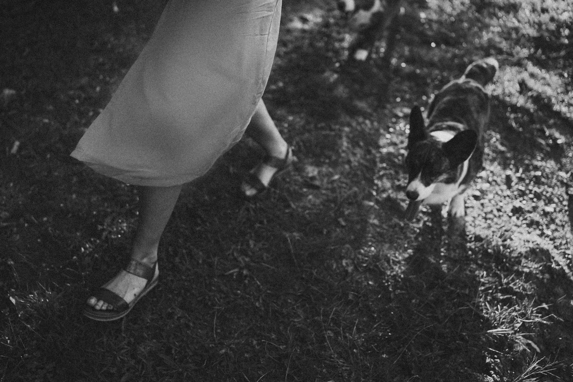 Влада и Коржики. Фотограф анималист в Москве и Санкт-Петербурге Свиридова Анна