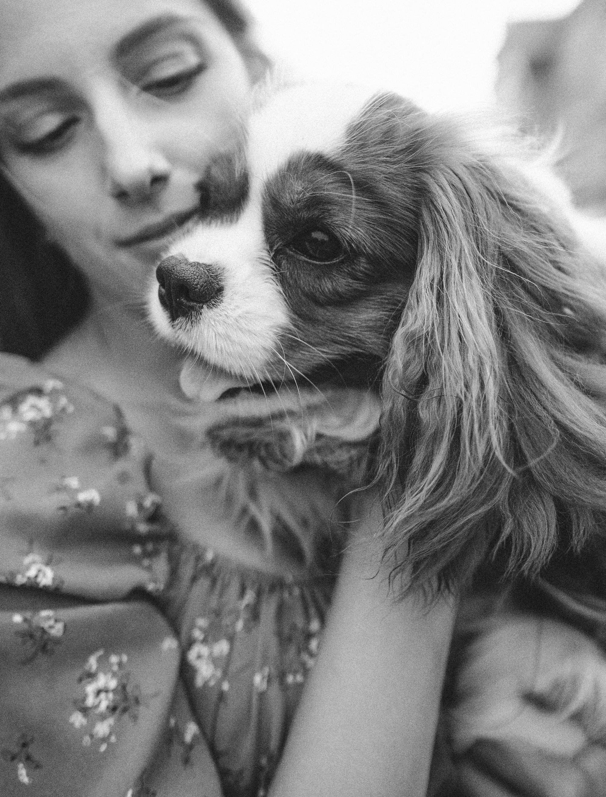 Таня и Лео. Фотограф анималист в Москве и Санкт-Петербурге Свиридова Анна