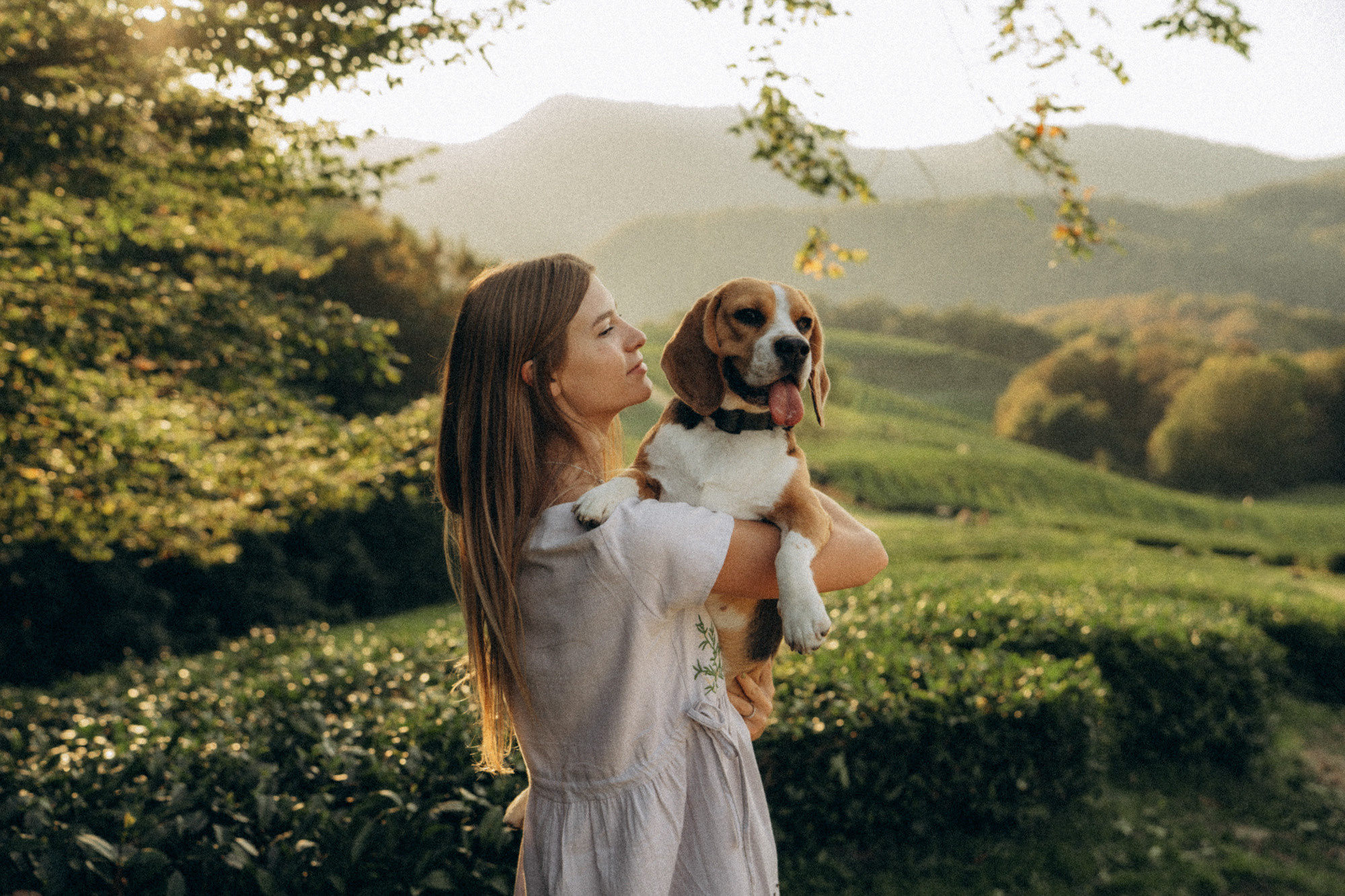 Женя и Мира. Фотограф анималист в Москве и Санкт-Петербурге Свиридова Анна