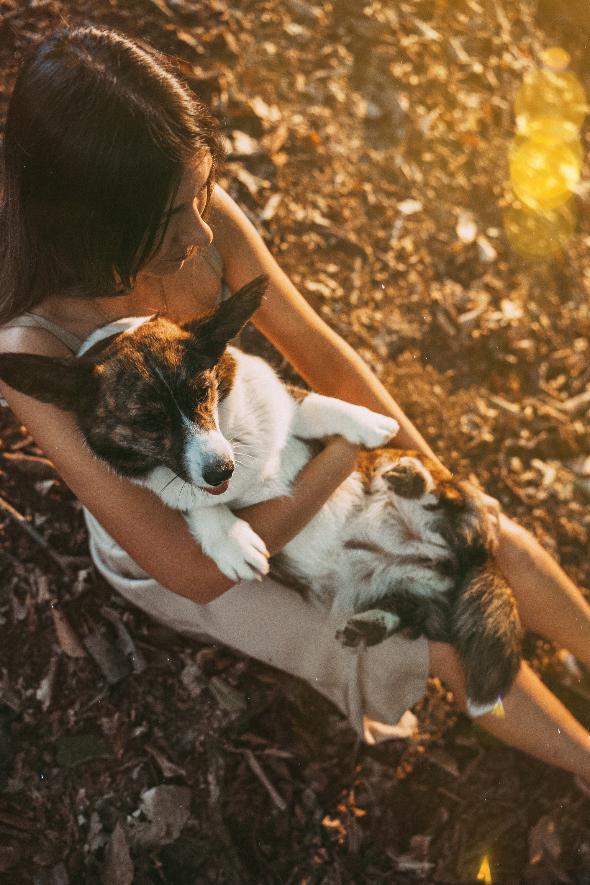Влада и Коржики. Фотограф анималист в Москве и Санкт-Петербурге Свиридова Анна